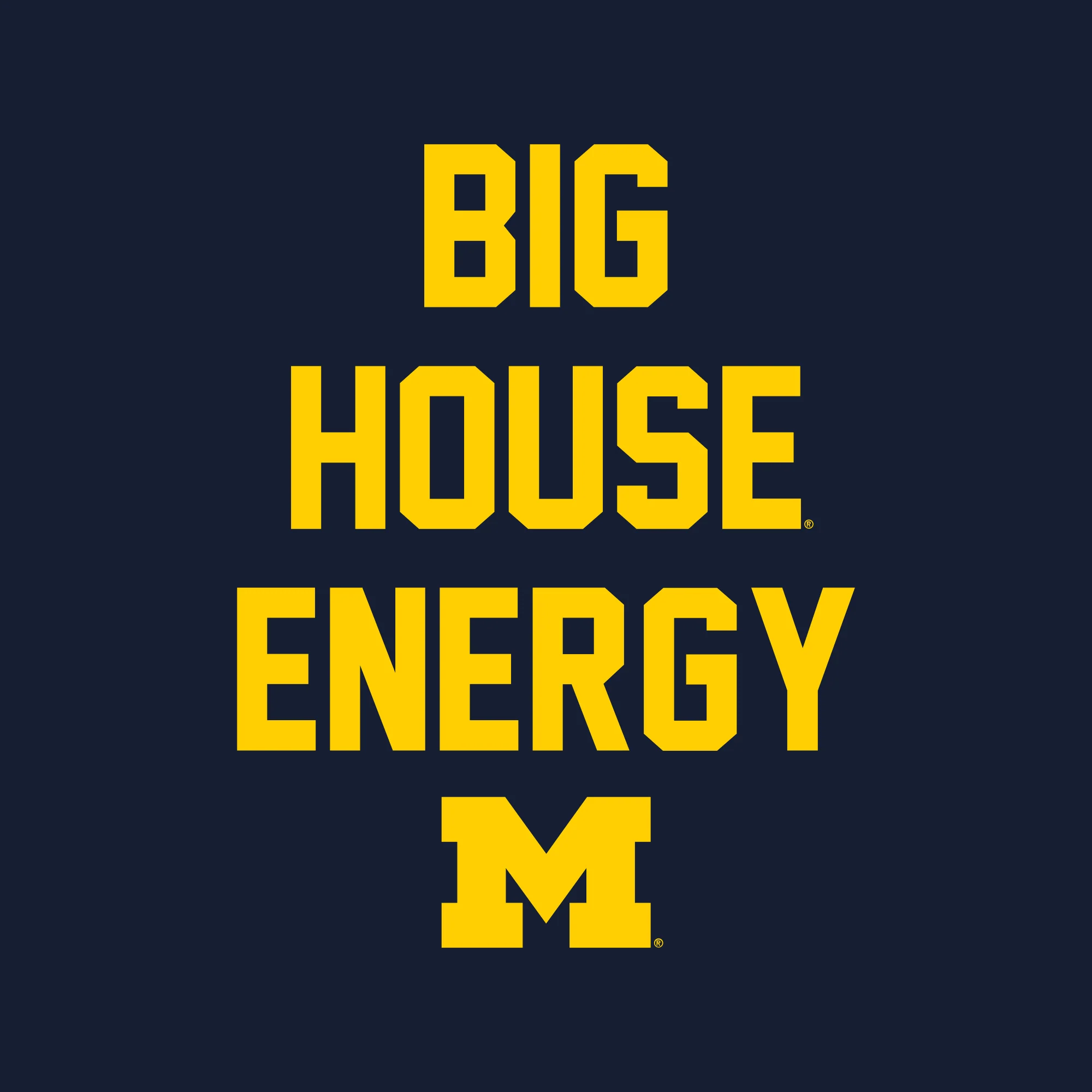 Michigan Big House Energy T-Shirt - Navy - Image 2