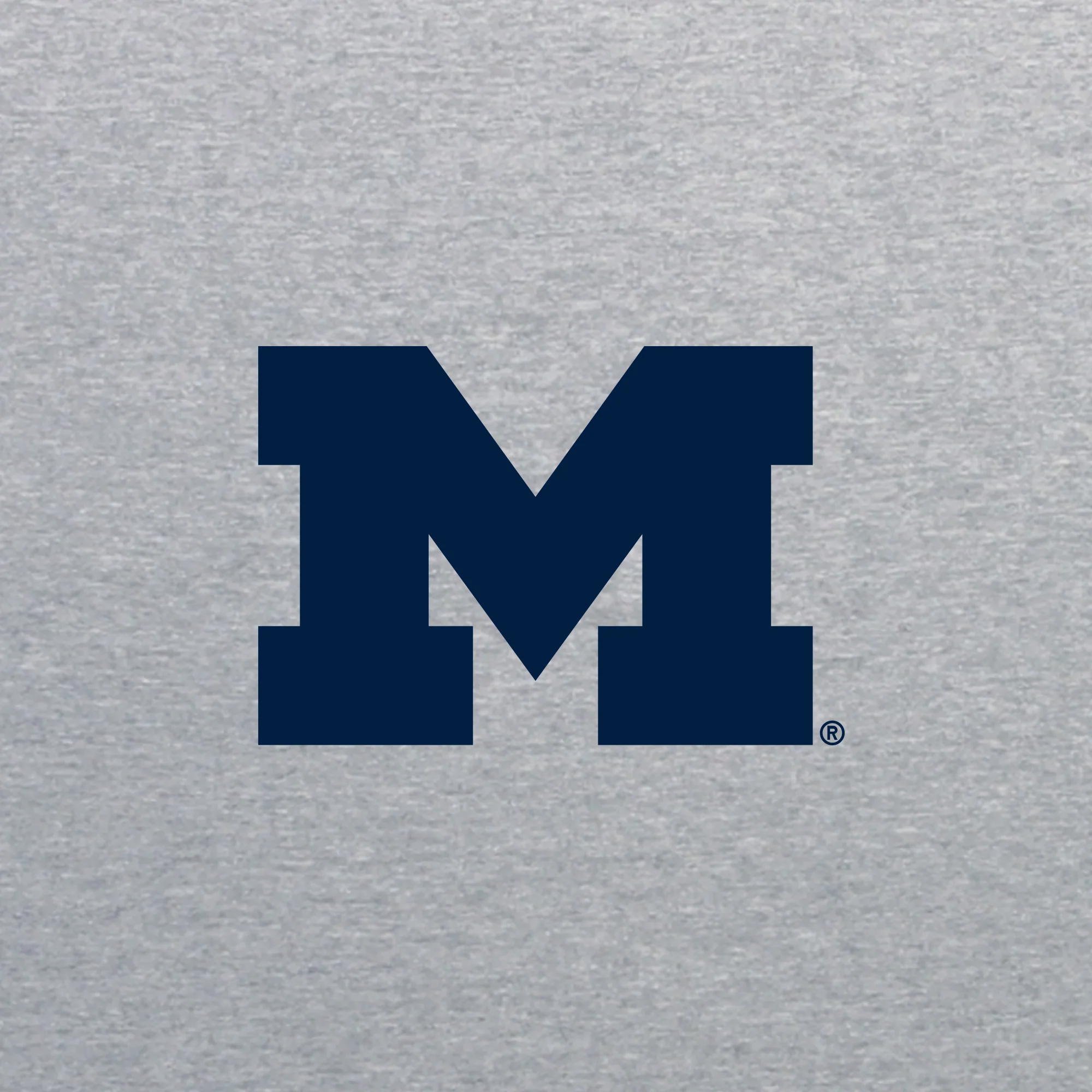 Michigan Block M JA Triblend Full-Zip Hoodie - Grey Triblend - Image 2