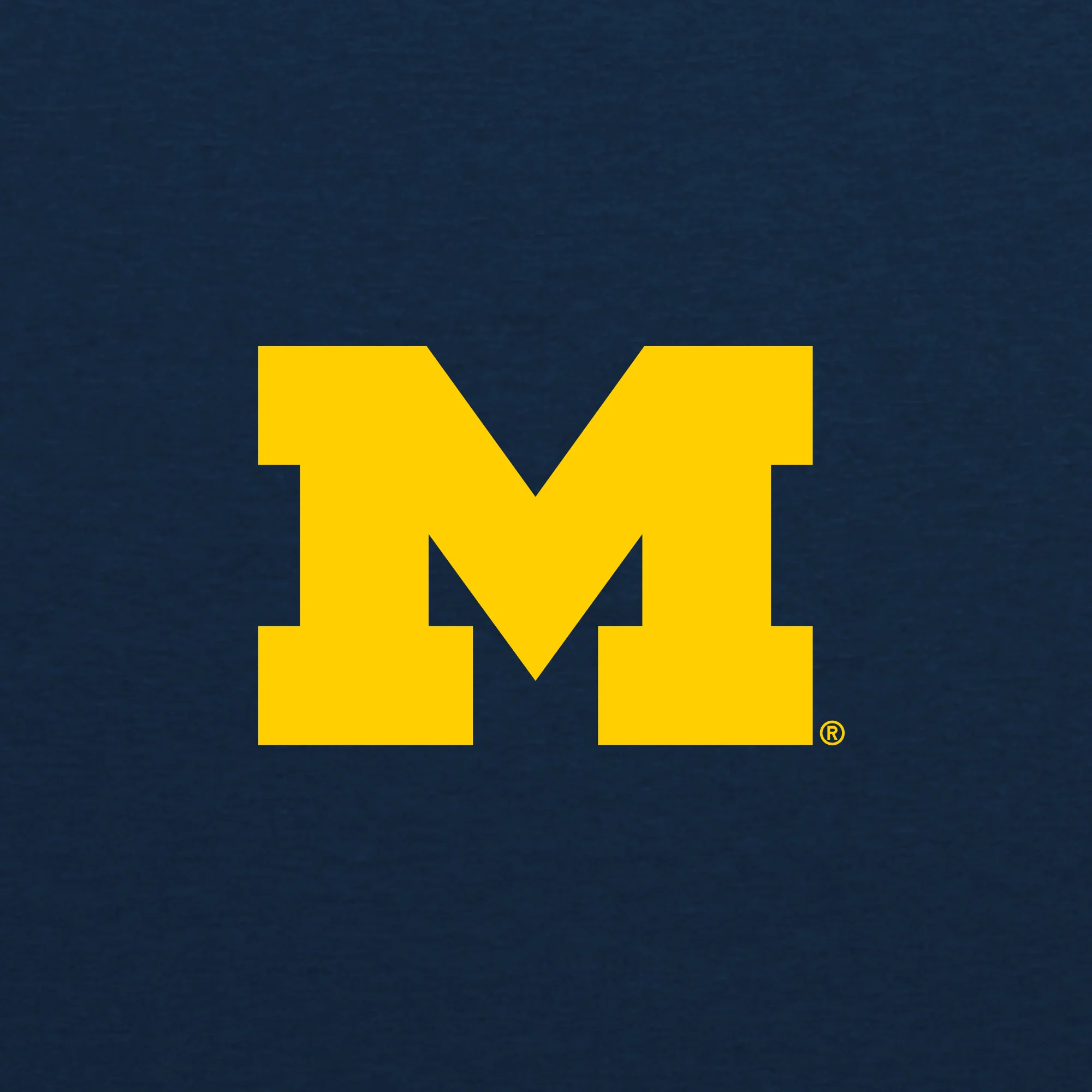 Michigan Block M JA Triblend Full-Zip Hoodie - Navy Triblend - Image 2