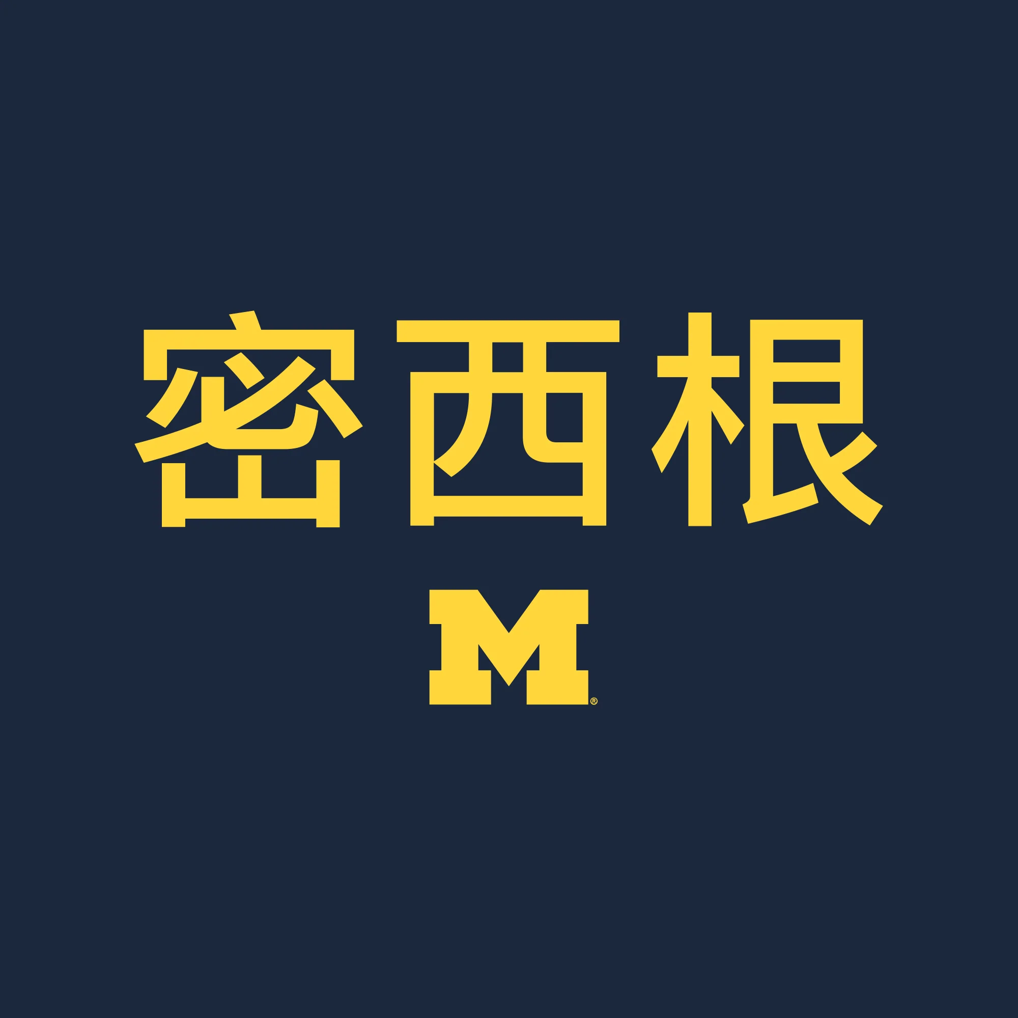 Michigan Chinese NLA T-Shirt - Midnight Navy - Image 2