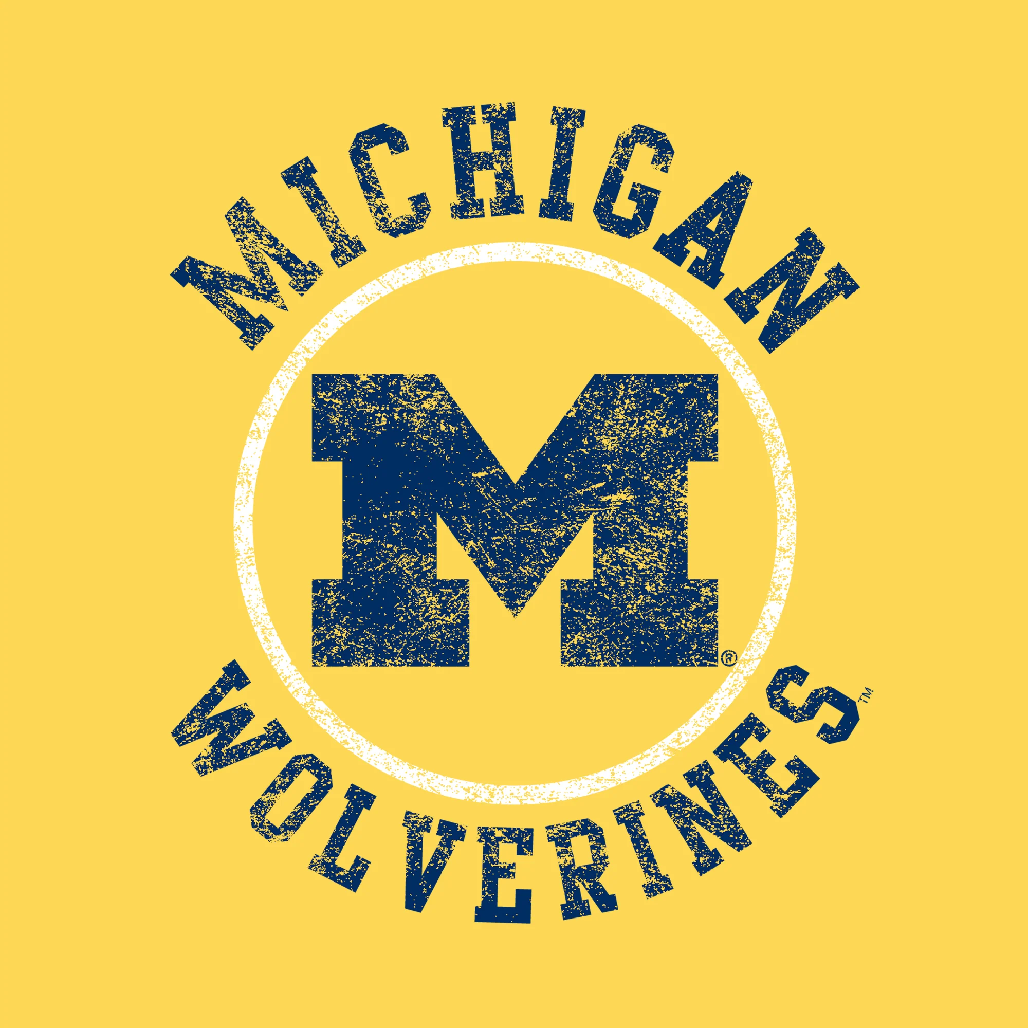 Michigan Distressed Circle Logo Youth T-Shirt - Daisy - Image 2