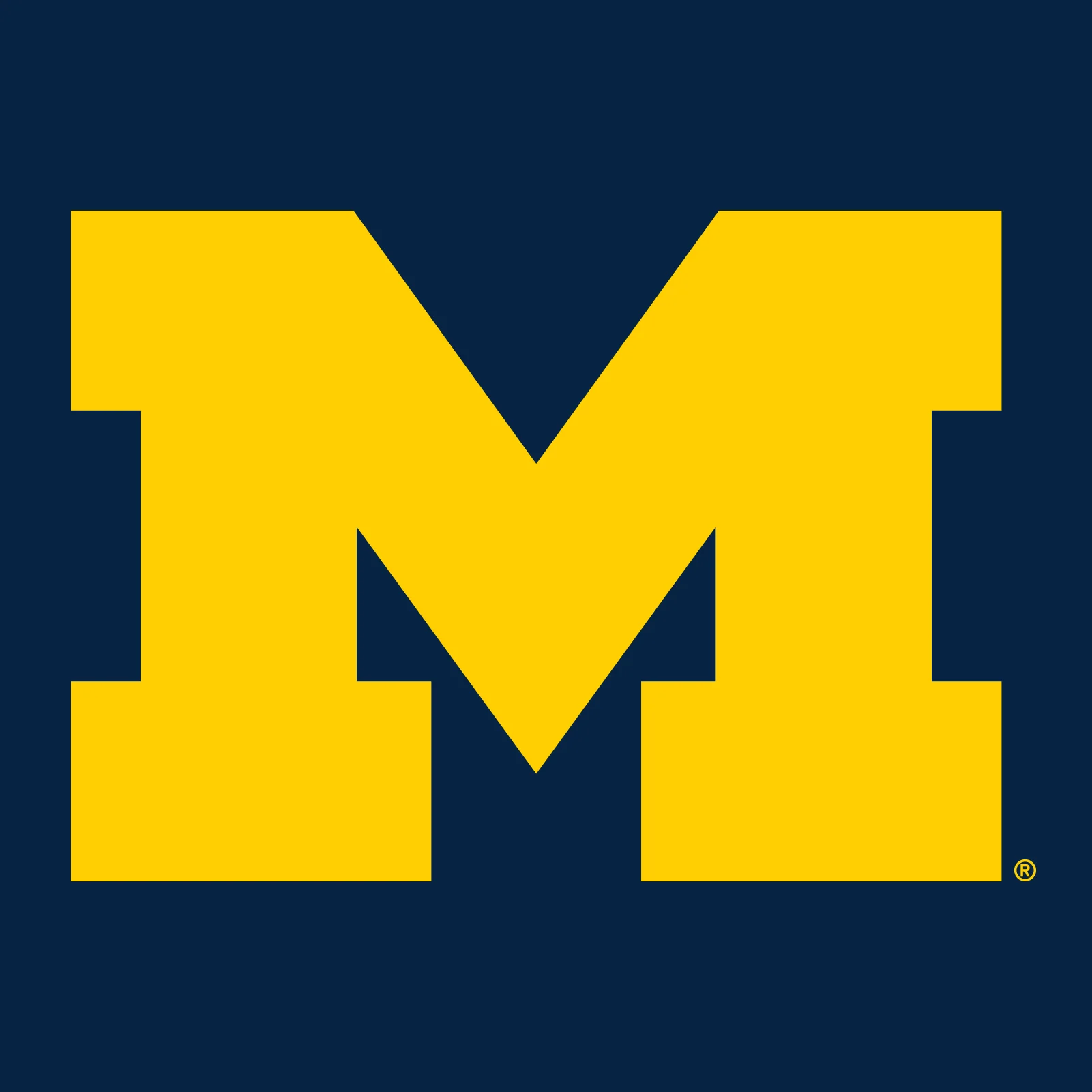 Front Back Print University of Michigan Heavy Blend Hoodie - Navy - Image 4