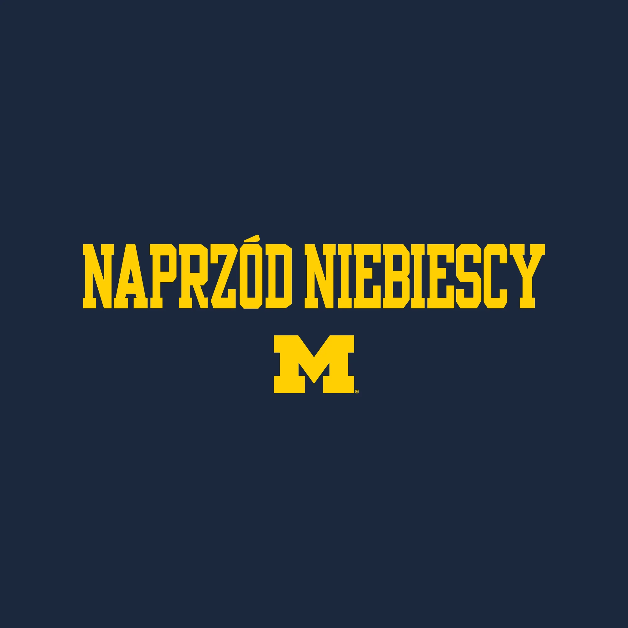 Michigan Go Blue Polish NLA T-Shirt - Midnight Navy - Image 2