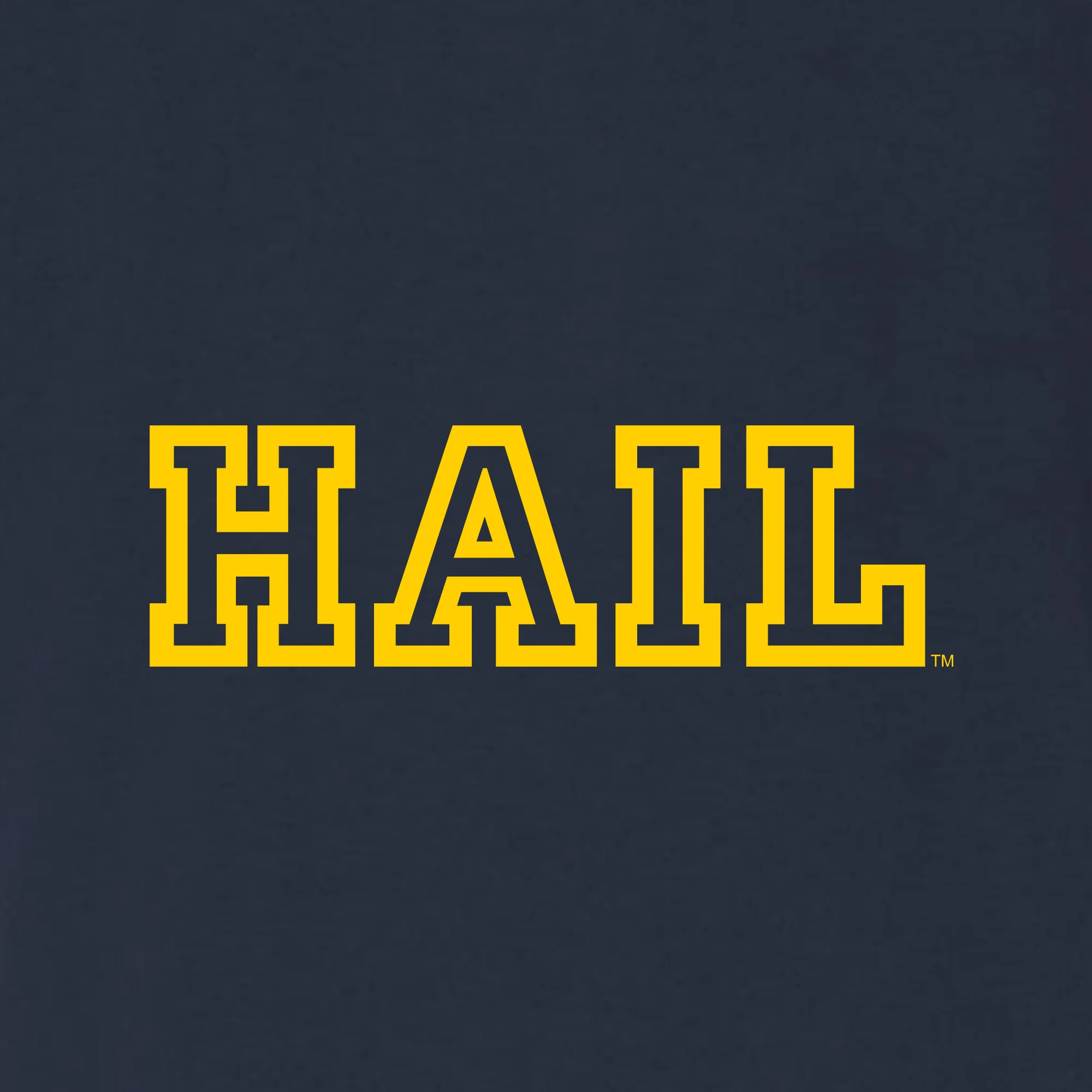 Michigan Hail Outline Canvas Triblend T-Shirt - Image 3