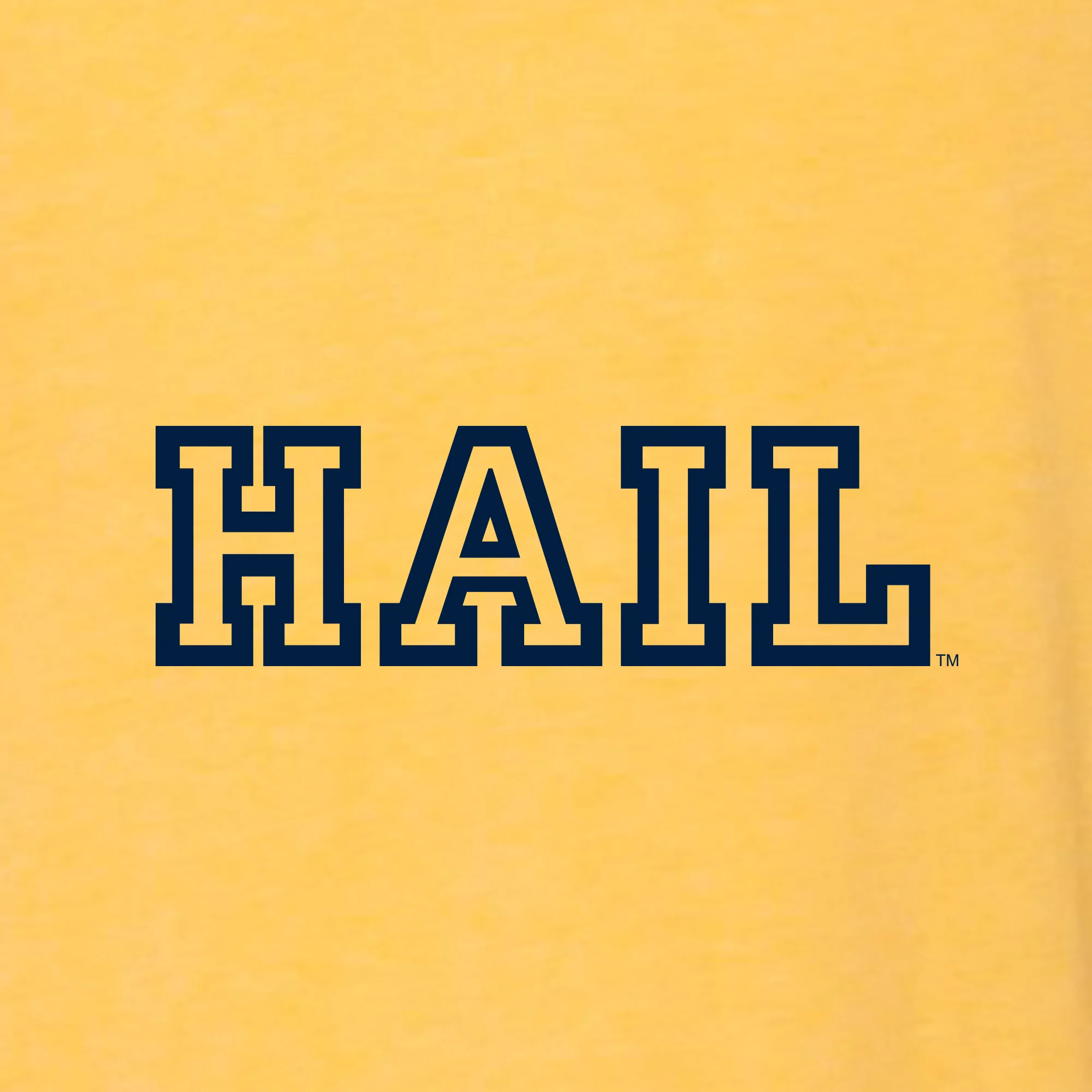 Michigan Hail Outline Canvas Triblend T-Shirt - Image 5
