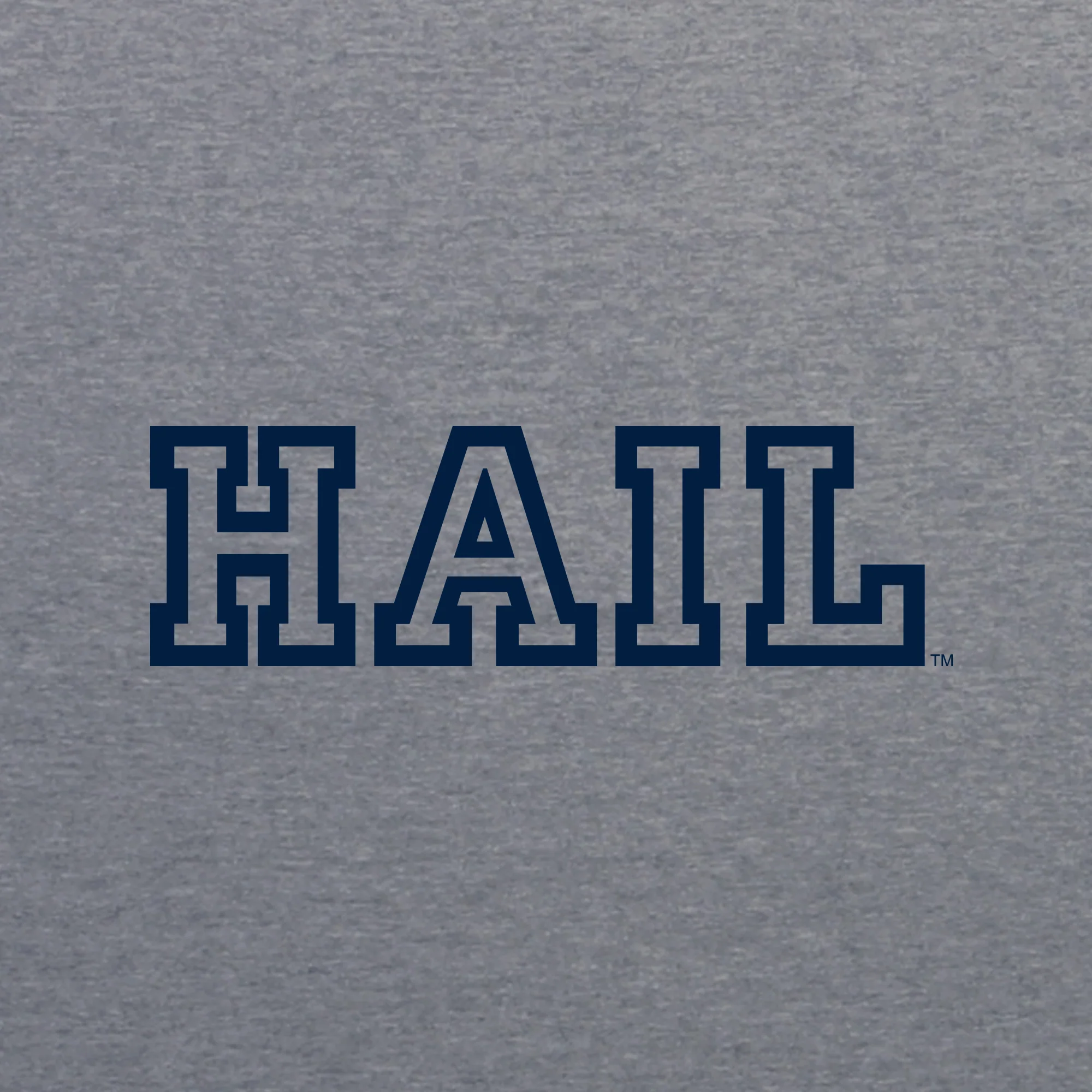 Michigan Hail Outline JA BTB Fleece Hoodie - Image 5