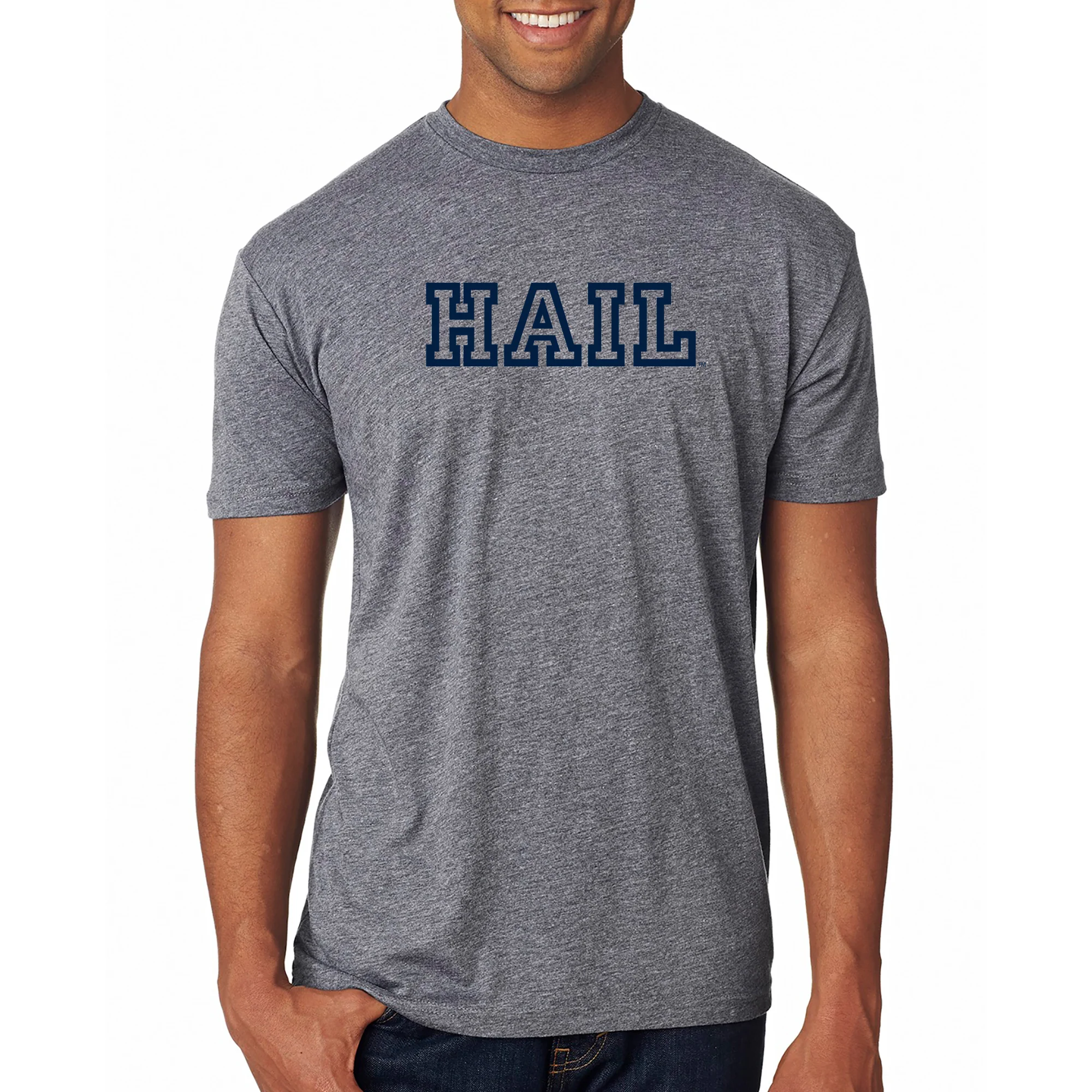 Michigan Hail Outline NLA Triblend T-Shirt - Premium Heather - Image 3