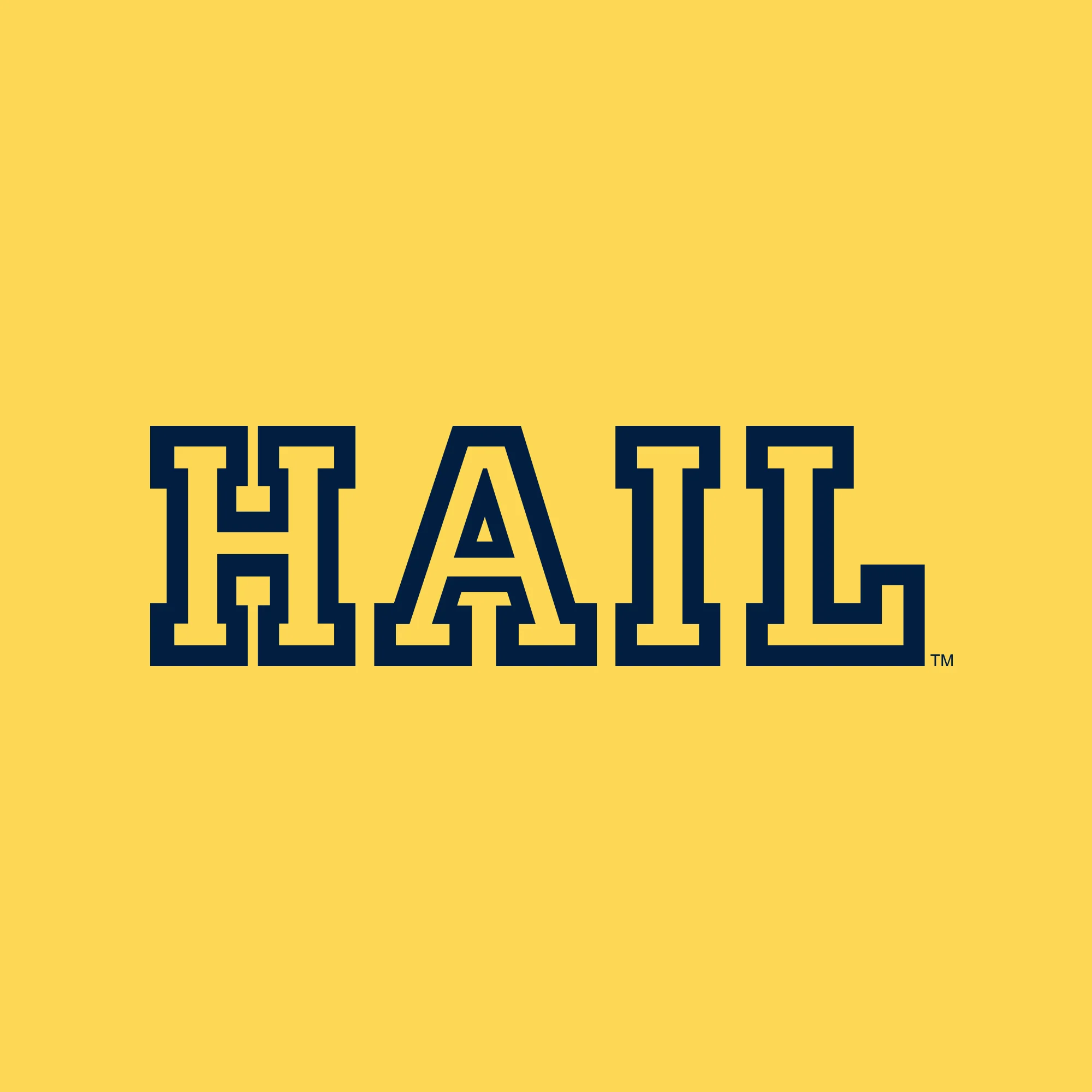 Michigan Hail Outline Youth T-Shirt - Daisy - Image 2
