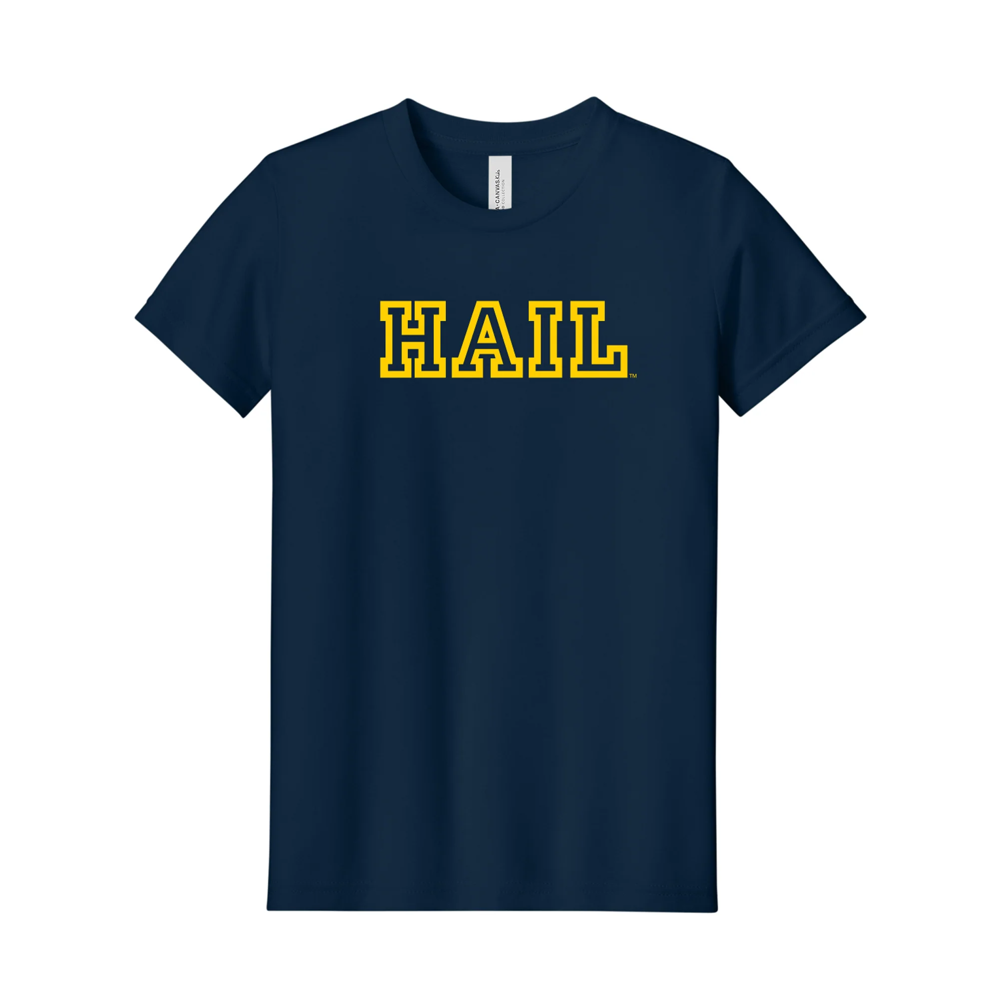 Michigan Hail Outline Youth Triblend T-Shirt - Solid Navy