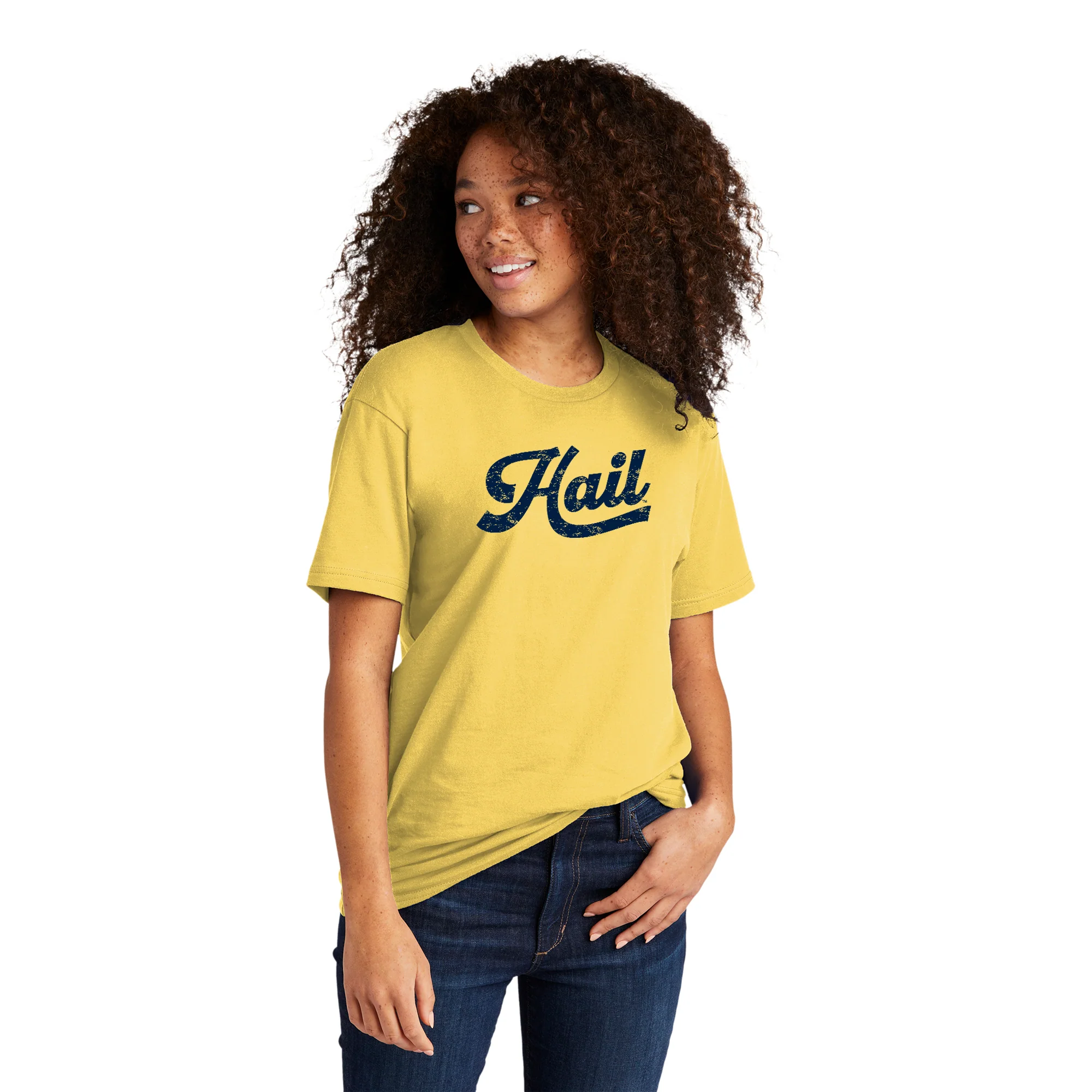 Michigan Hail Script NLA T-Shirt - Banana Cream - Image 3