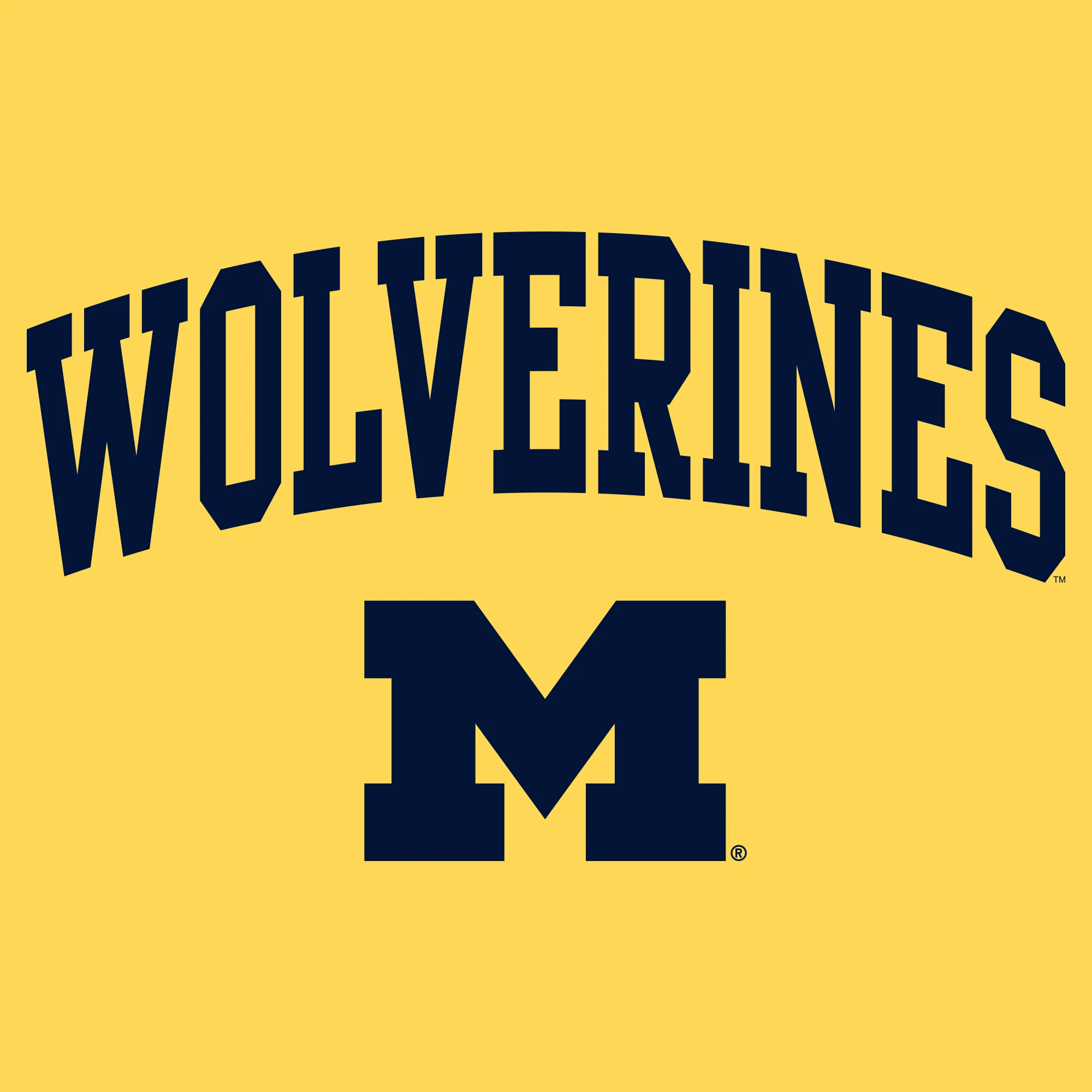 Mascot Arch Logo University of Michigan Basic Cotton Short Sleeve T Shirt - Maize - Image 2