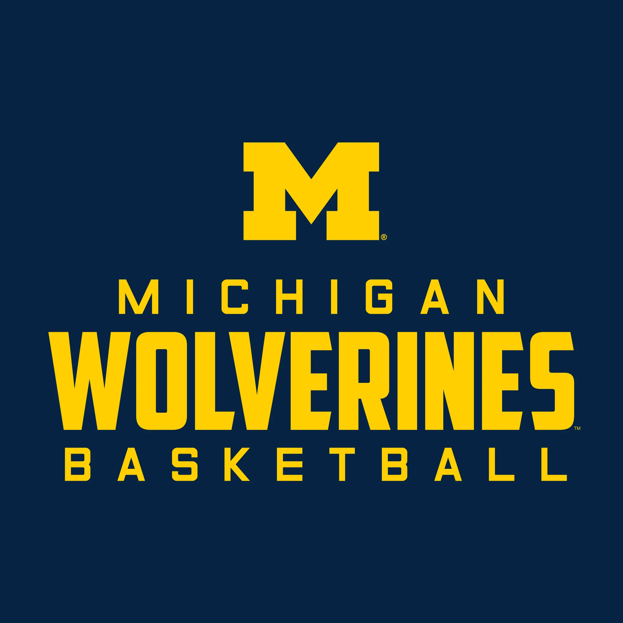Michigan Mascot Wordmark Basketball Basic Cotton Short Sleeve T Shirt - Navy - Image 2