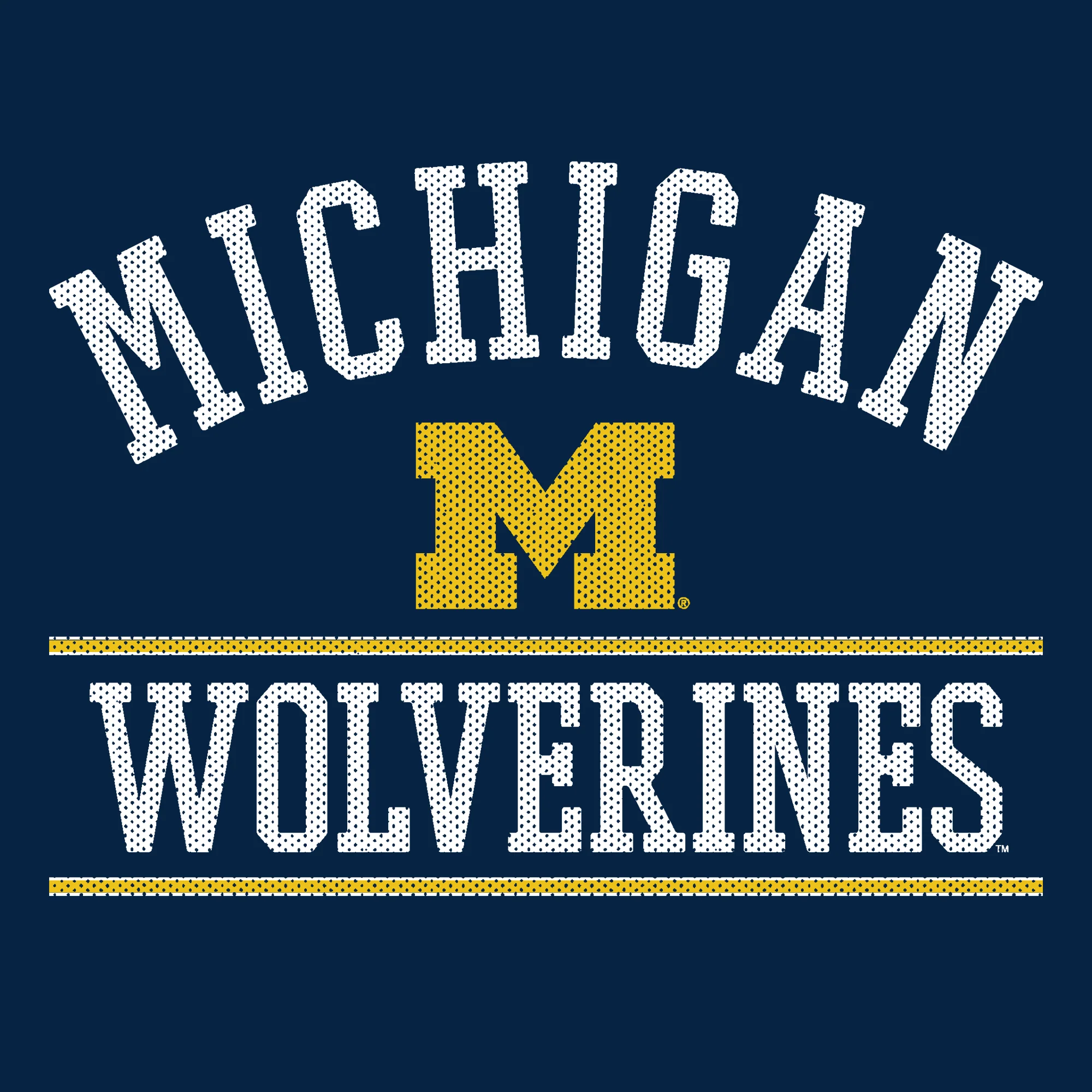 Mesh Arch University of Michigan Basic Cotton Hooded Sweatshirt - Navy - Image 2
