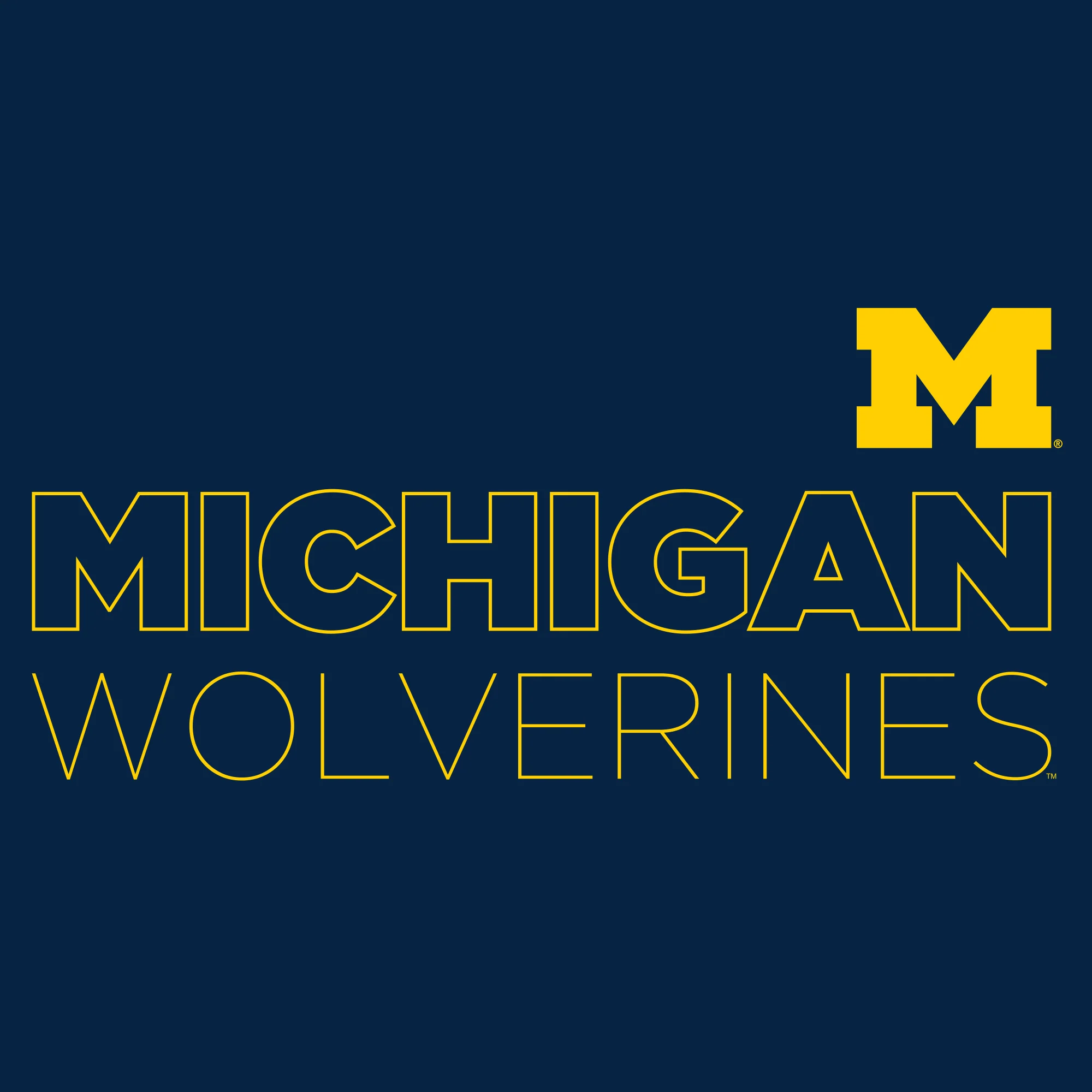 Modern Outline University of Michigan Heavy Blend Crewneck Sweatshirt - Navy - Image 2
