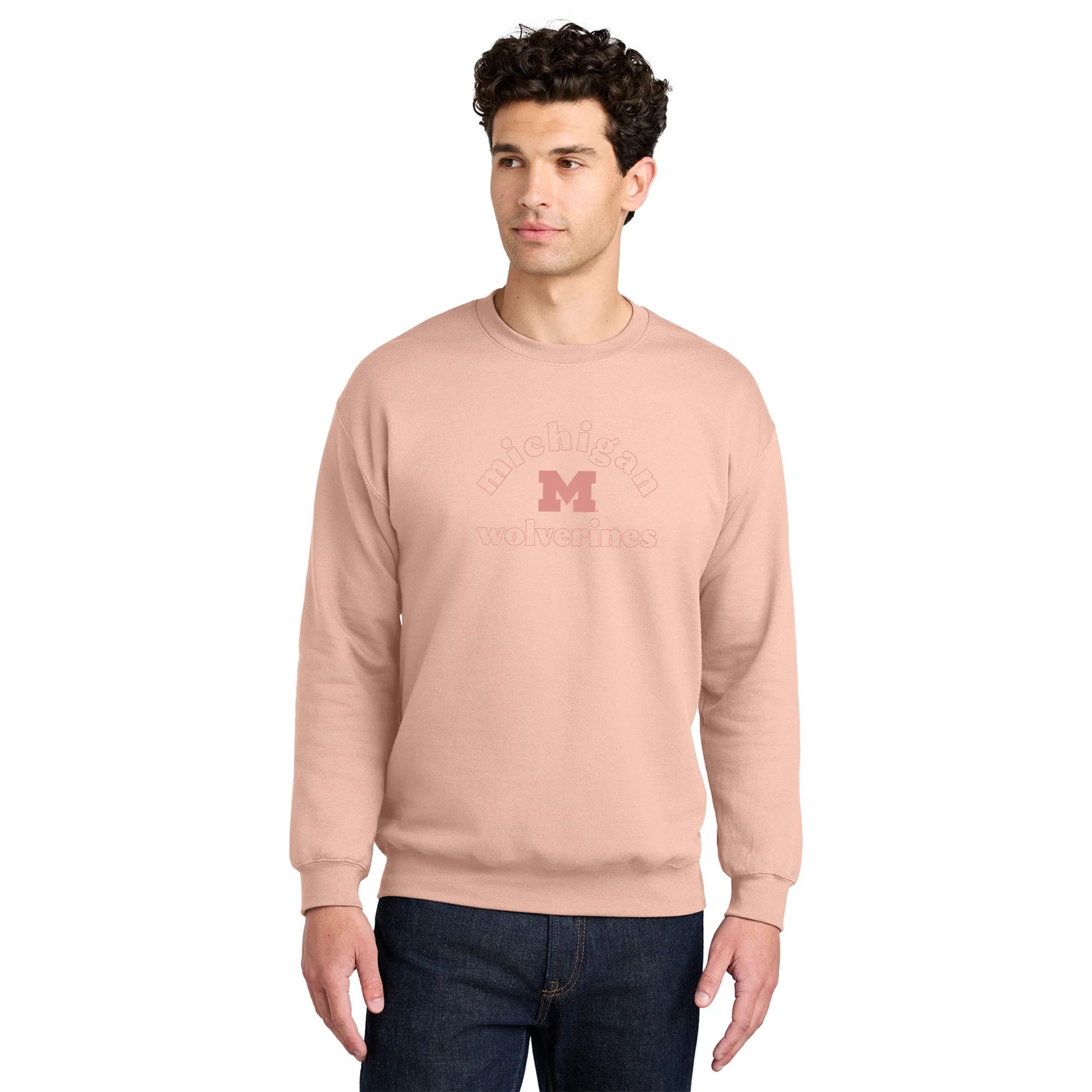 Michigan Monotone Outline Softstyle Crewneck - Dusty Rose - Image 4
