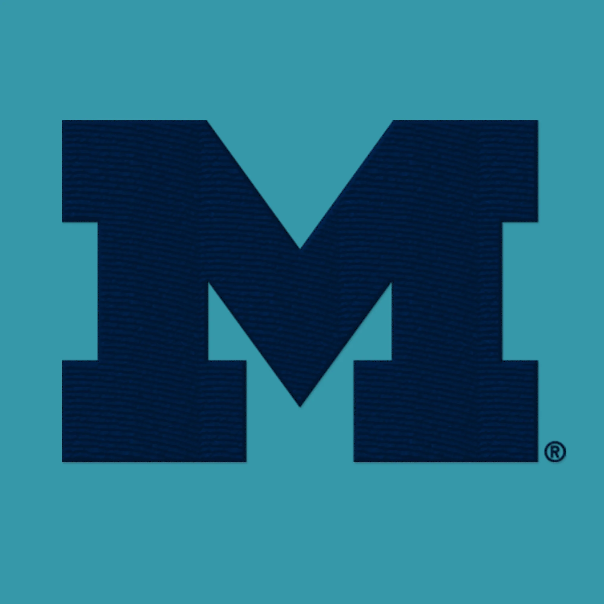 Michigan Primary Logo Dad Hat - Image 11