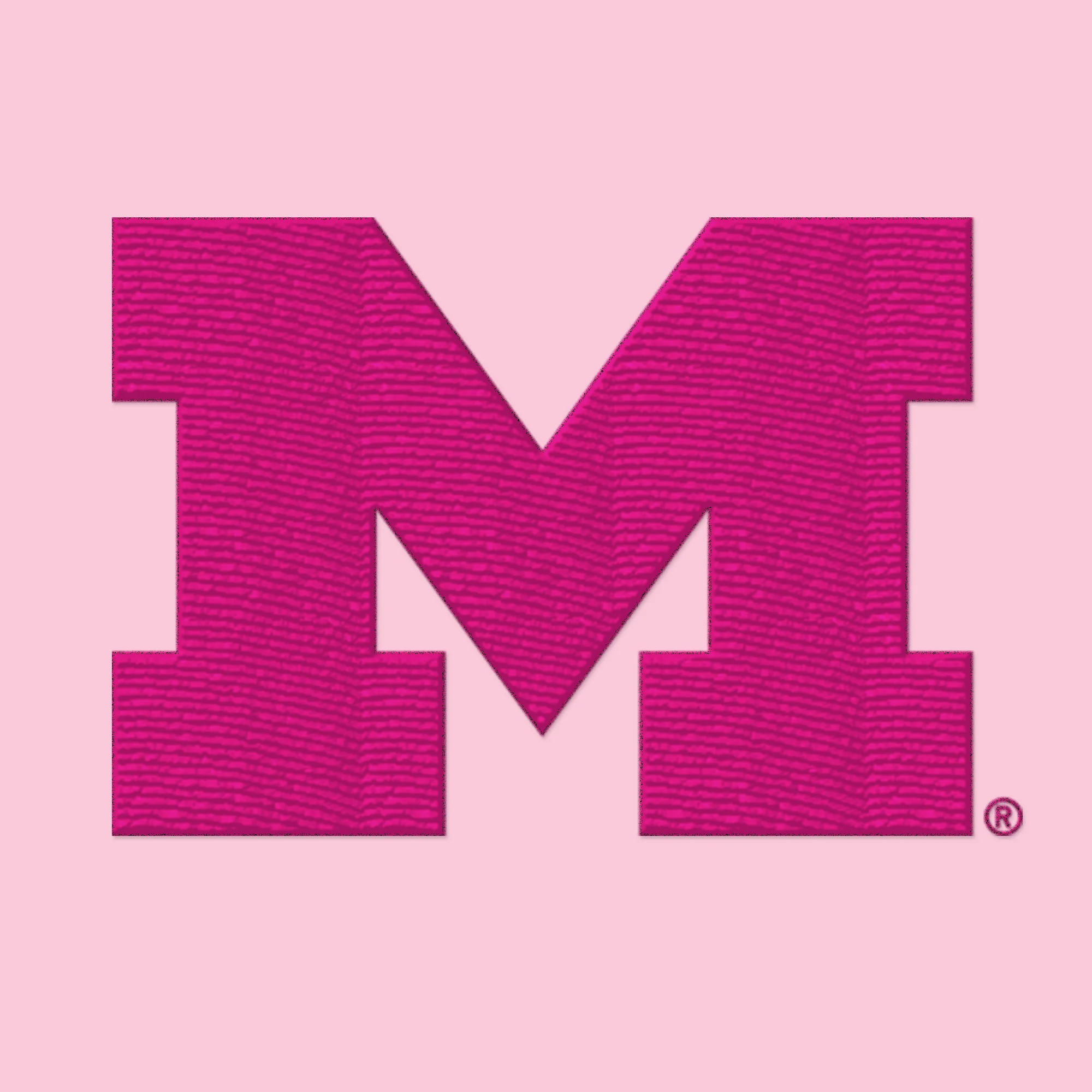 Michigan Primary Logo Dad Hat - Image 14