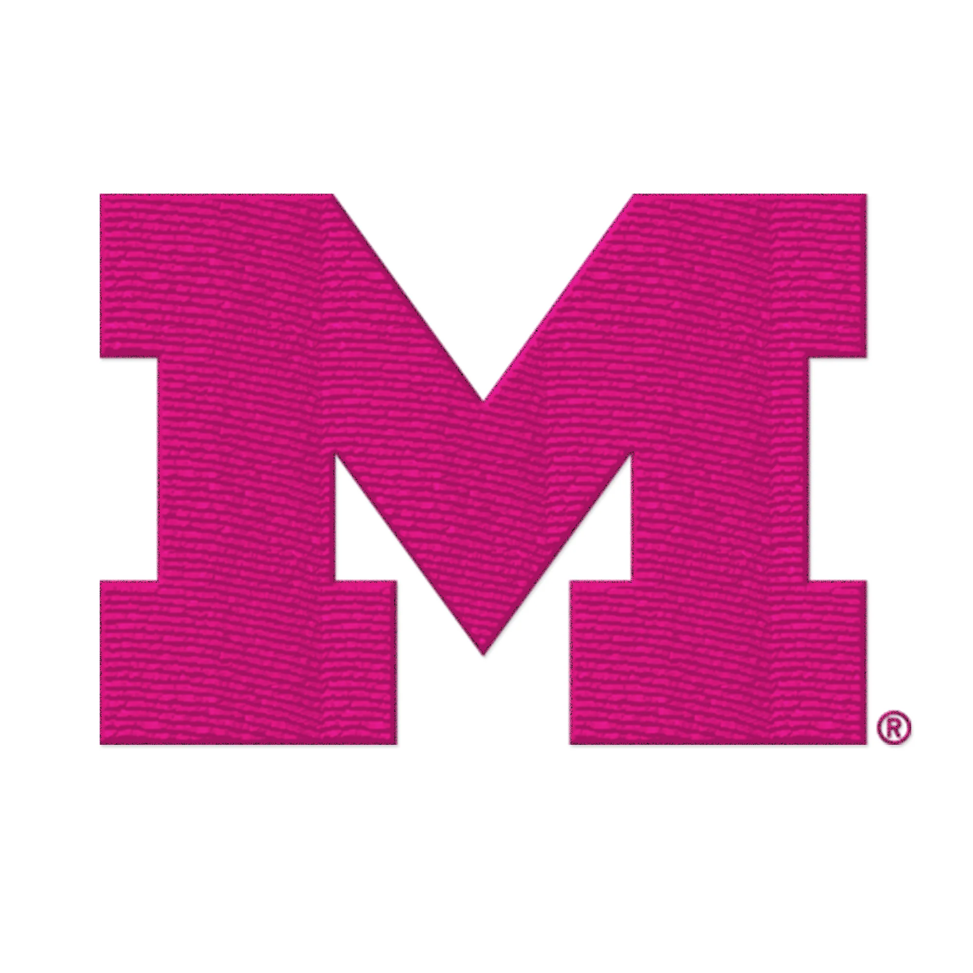 Michigan Primary Logo Dad Hat - Image 17
