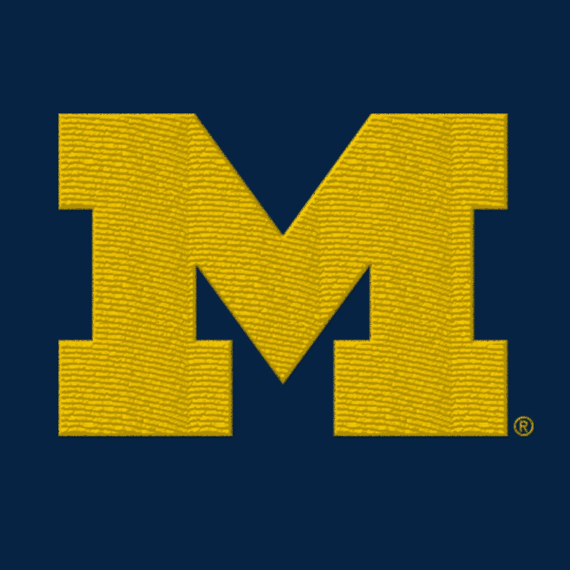 Michigan Primary Logo Dad Hat - Image 2