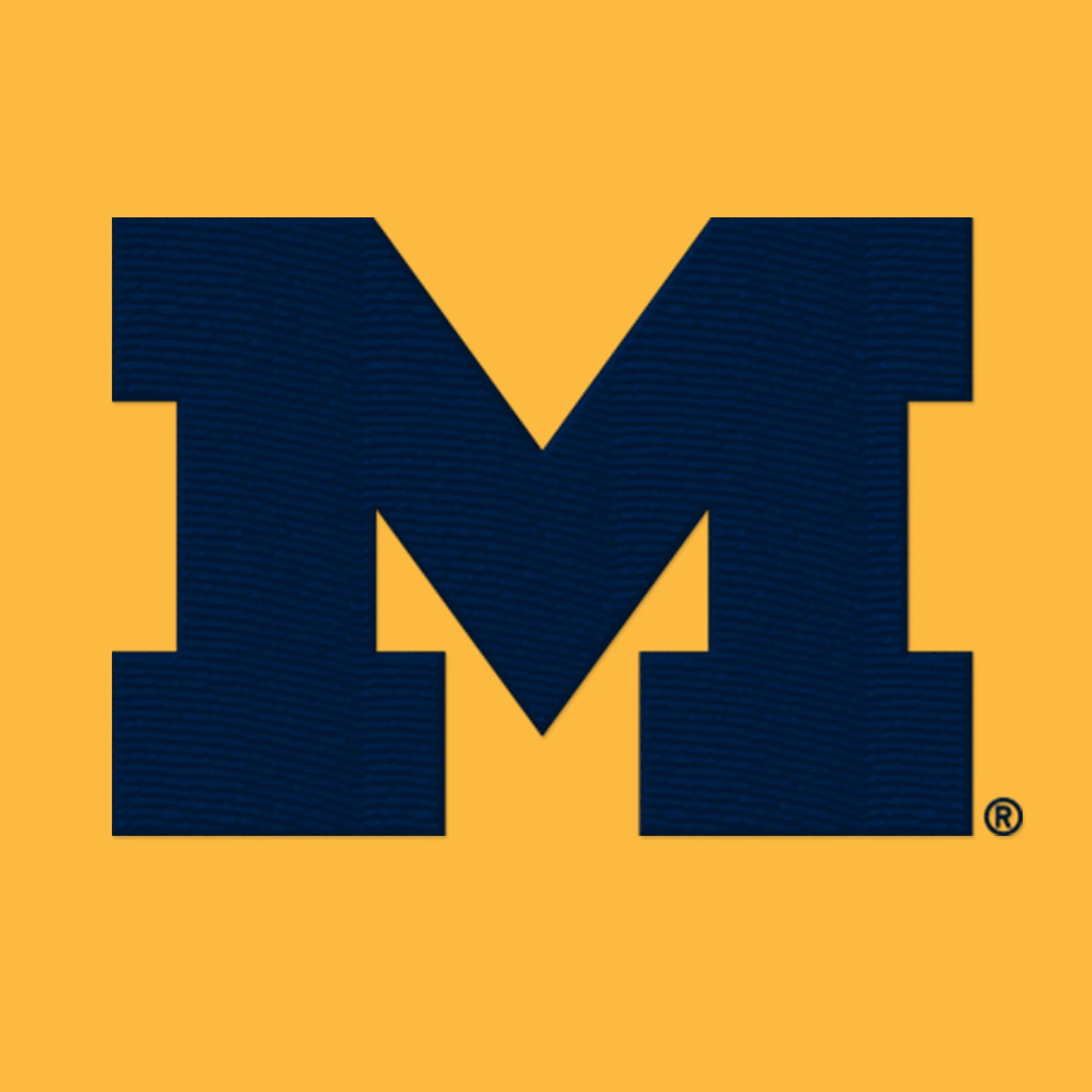Michigan Primary Logo Dad Hat - Image 5