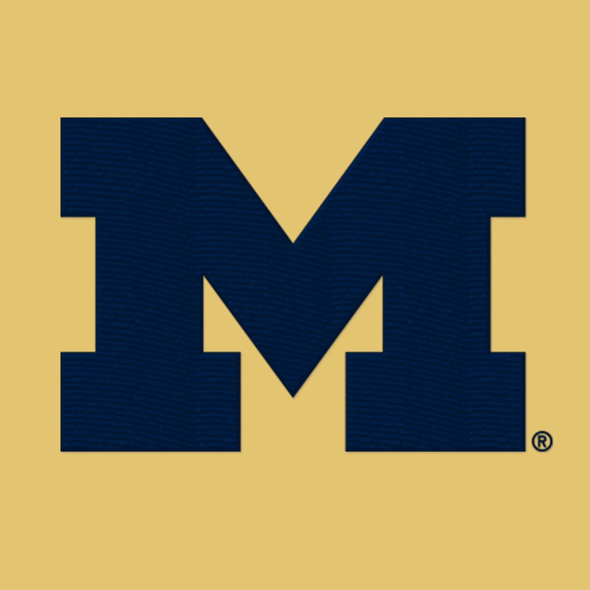 Michigan Primary Logo Dad Hat - Image 8