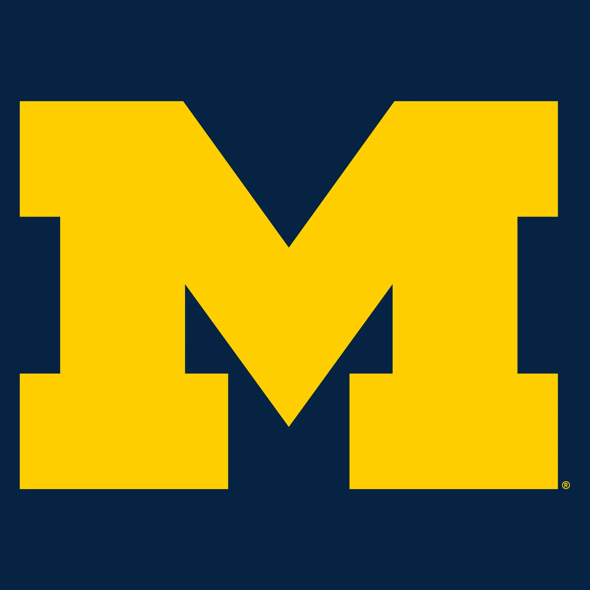 Primary Logo University of Michigan Toddler T Shirt - Navy - Image 2