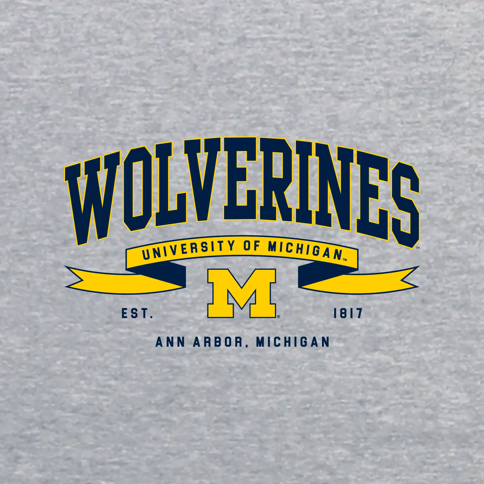 Michigan Ribbon Flight JA BTB Crewneck - Oxford - Image 2