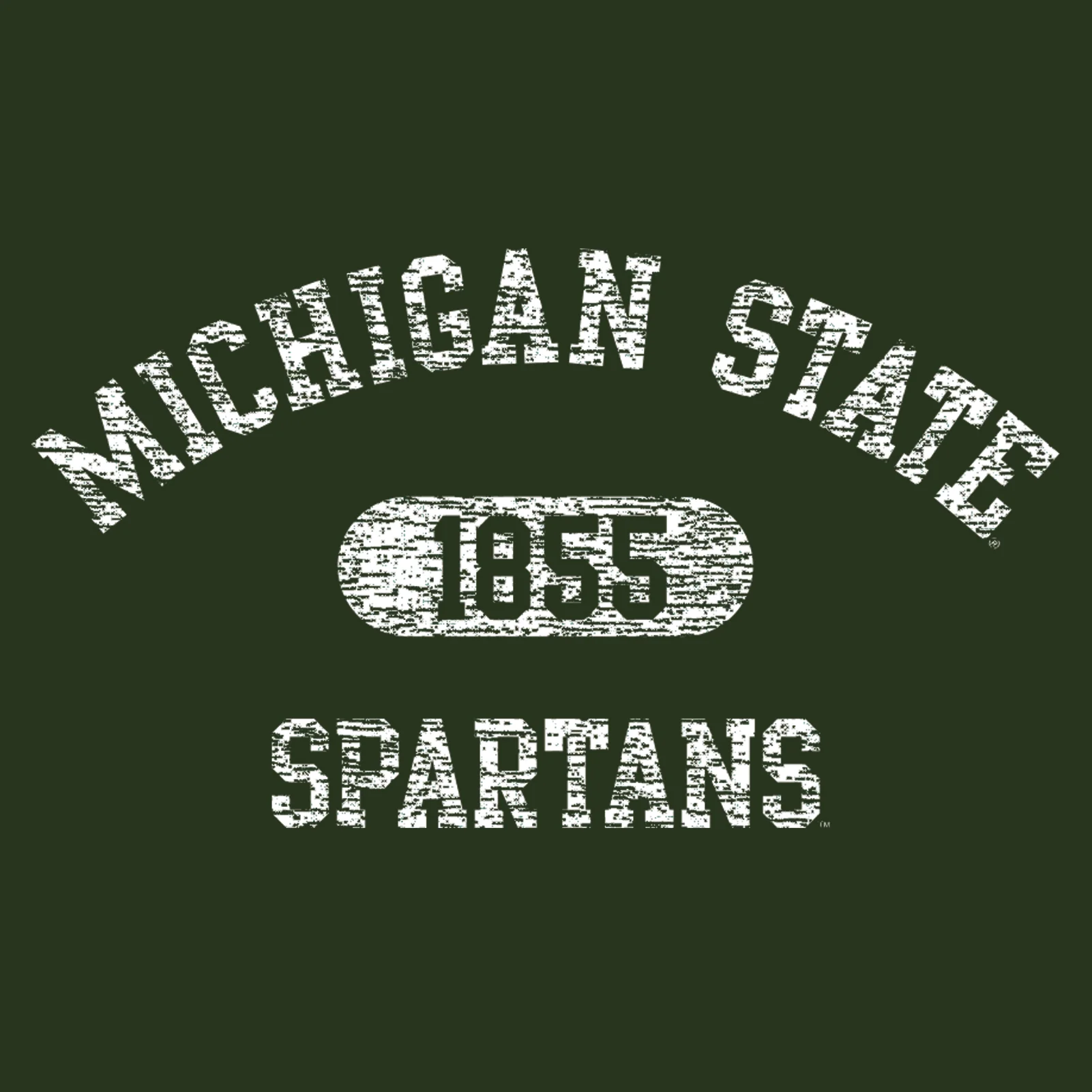 Michigan State Athletic Arch Logo Hoodie - Forest - Image 2