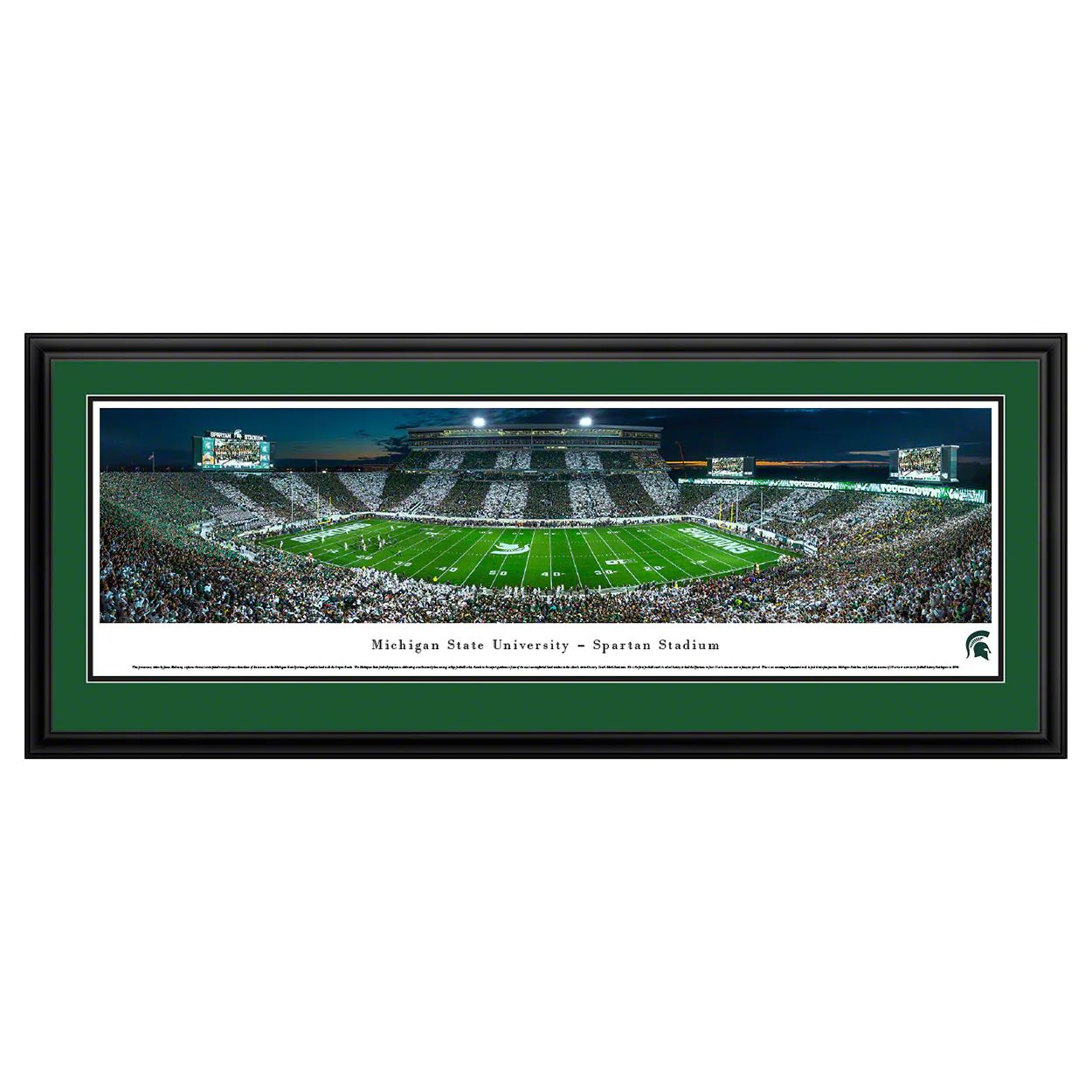 Blakeway Michigan State Spartans Football Stripe Panorama - Image 3
