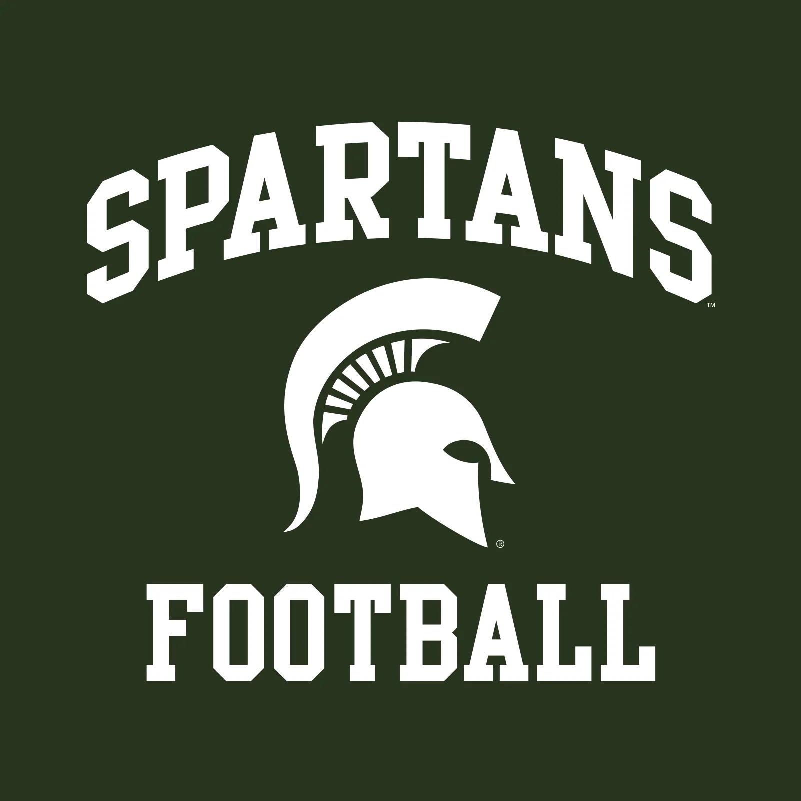 Michigan State University Spartans Arch Logo Football Short Sleeve T Shirt - Forest - Image 2