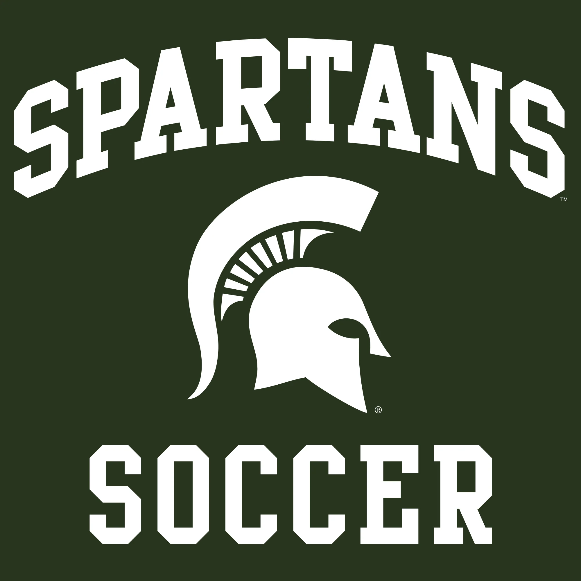 Michigan State University Spartans Arch Logo Soccer Hoodie - Forest - Image 2