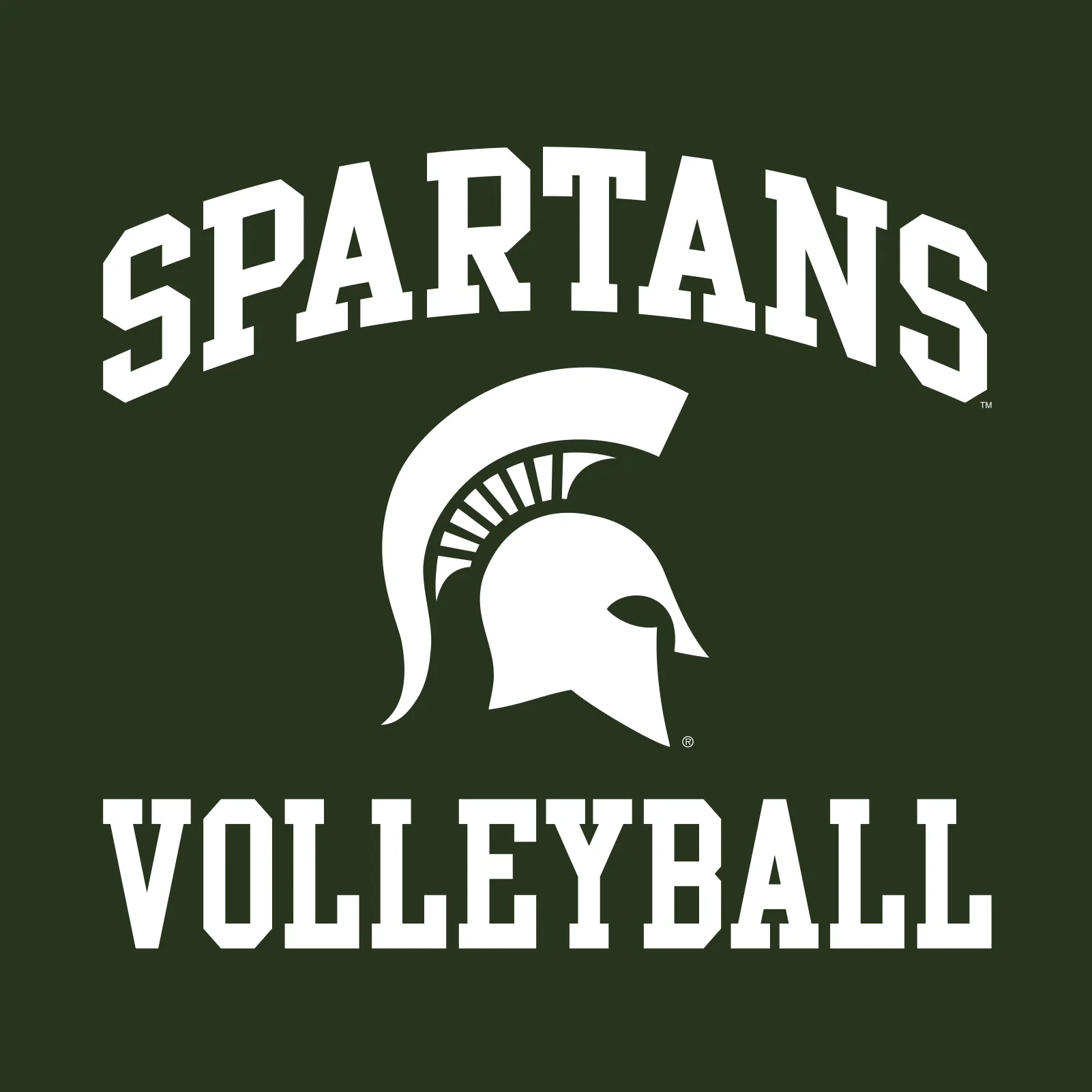 Michigan State University Spartans Arch Logo Volleyball Short Sleeve T Shirt - Forest - Image 2
