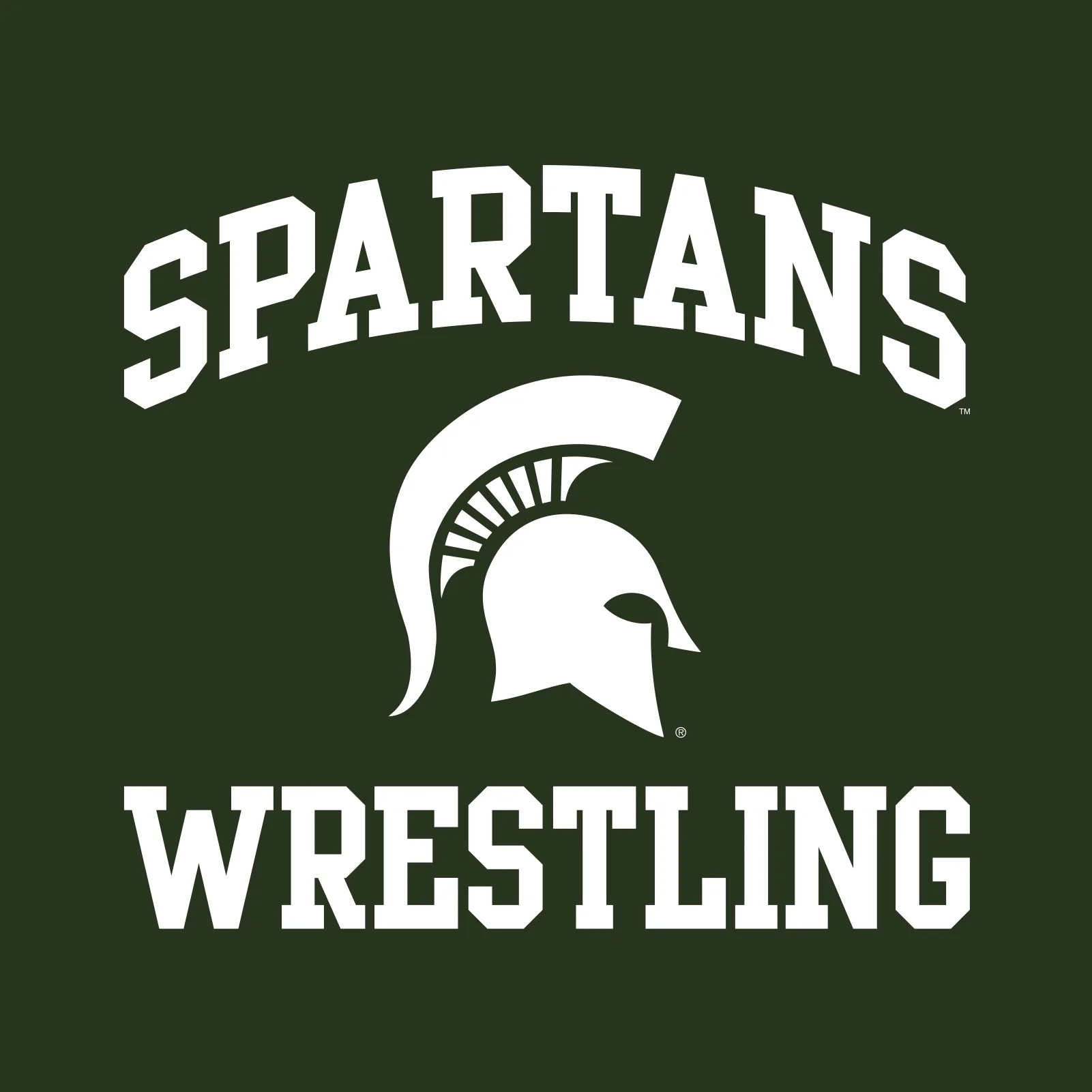 Michigan State University Spartans Arch Logo Wrestling Short Sleeve T Shirt - Forest - Image 2