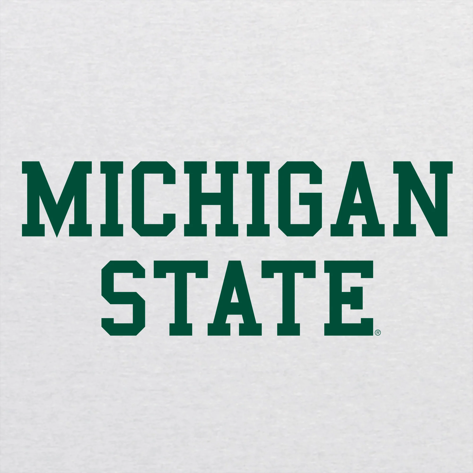 Michigan State University Spartans Basic Block Raglan T Shirt - Heather White / Premium Heather - Image 2