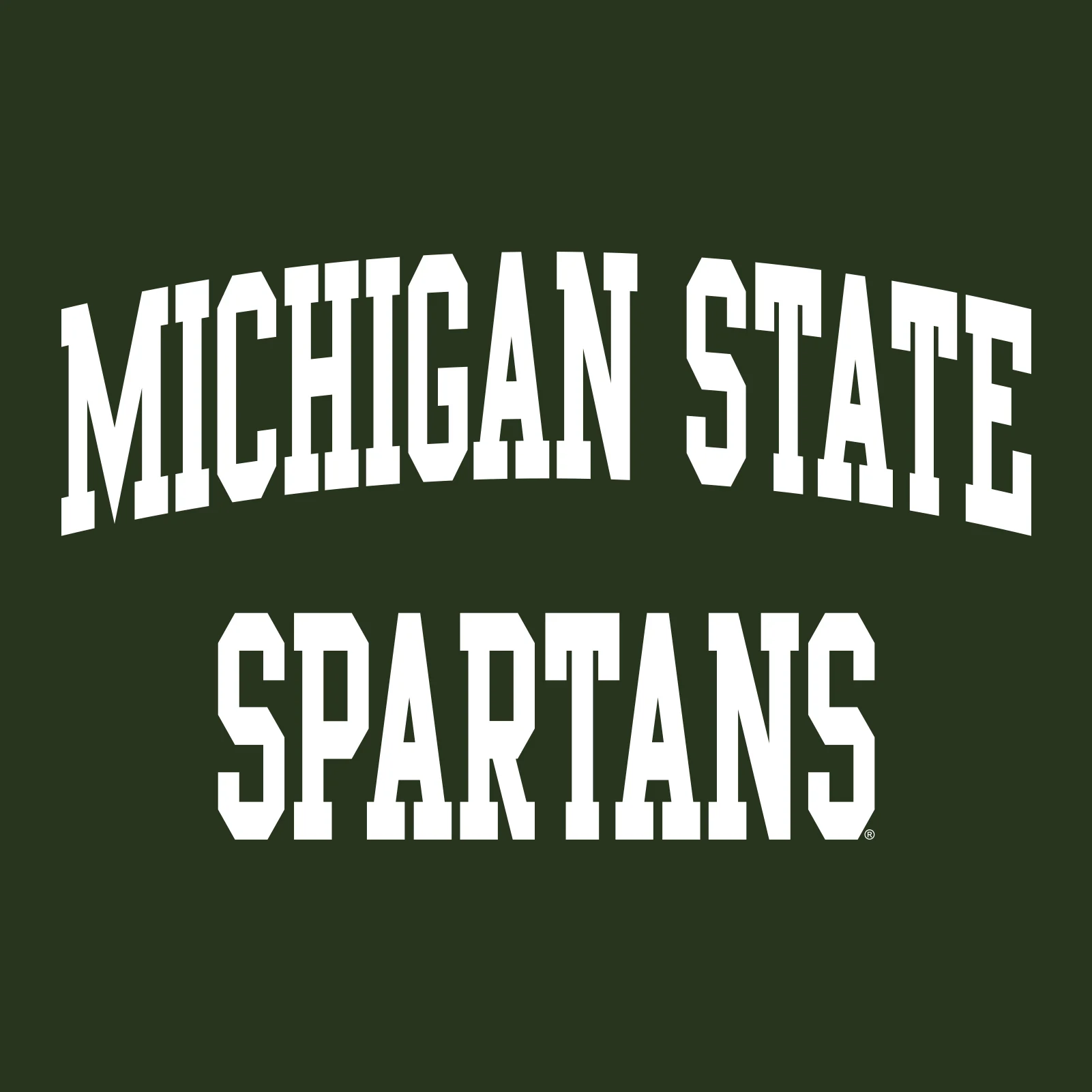 Michigan State University Spartans Front Back Print Hoodie - Forest - Image 2