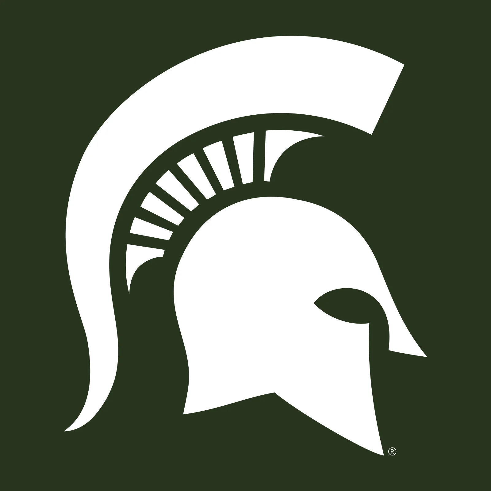 Michigan State University Spartans Front Back Print Hoodie - Forest - Image 4