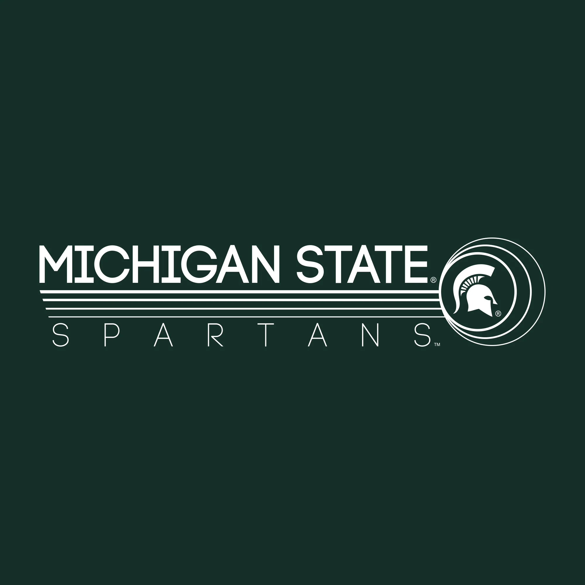 Michigan State University Spartans Logo Ping Heavy Blend Hoodie - Forest - Image 2