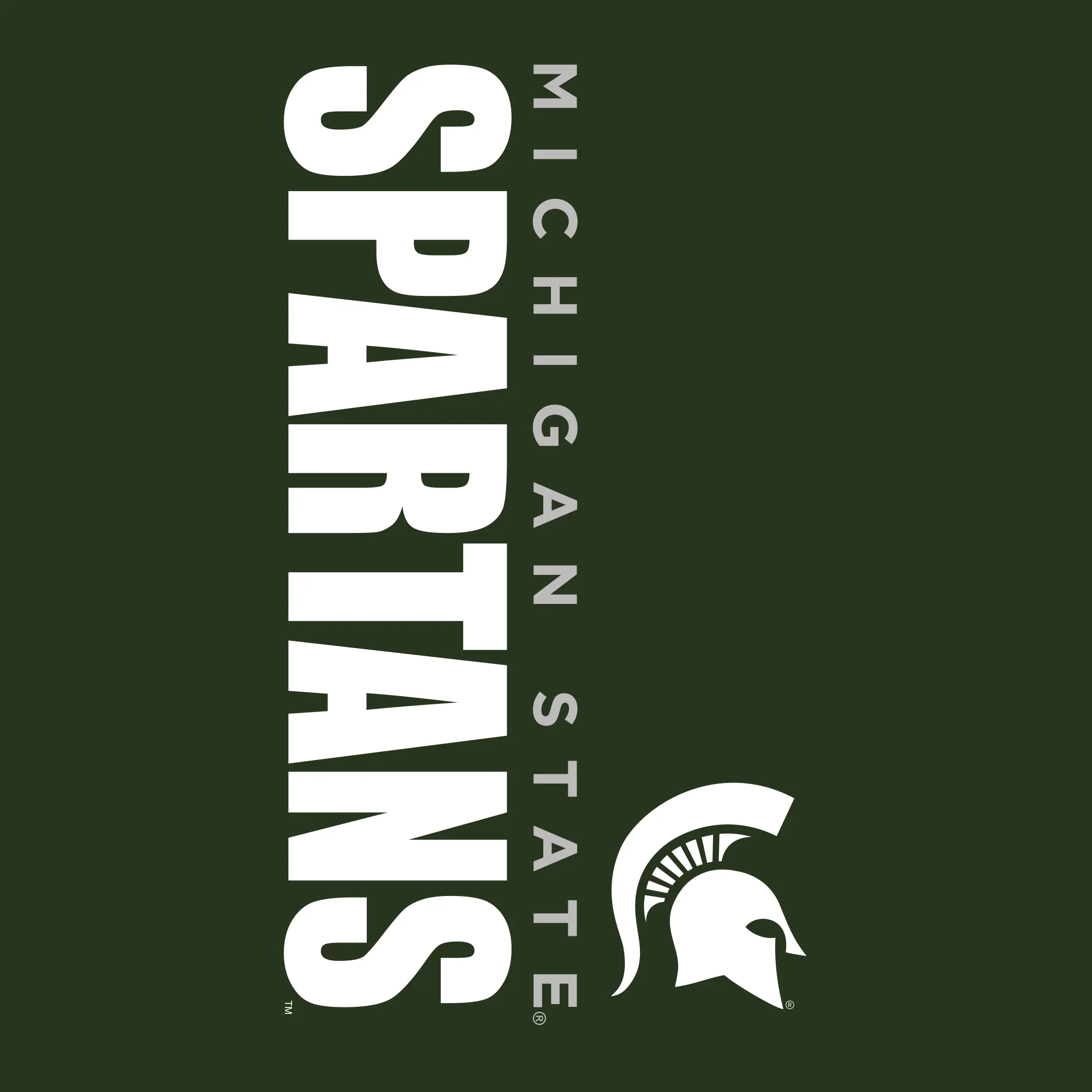 Michigan State University Spartans Vertical Block Left Chest Full-Zip Hoodie - Forest - Image 2