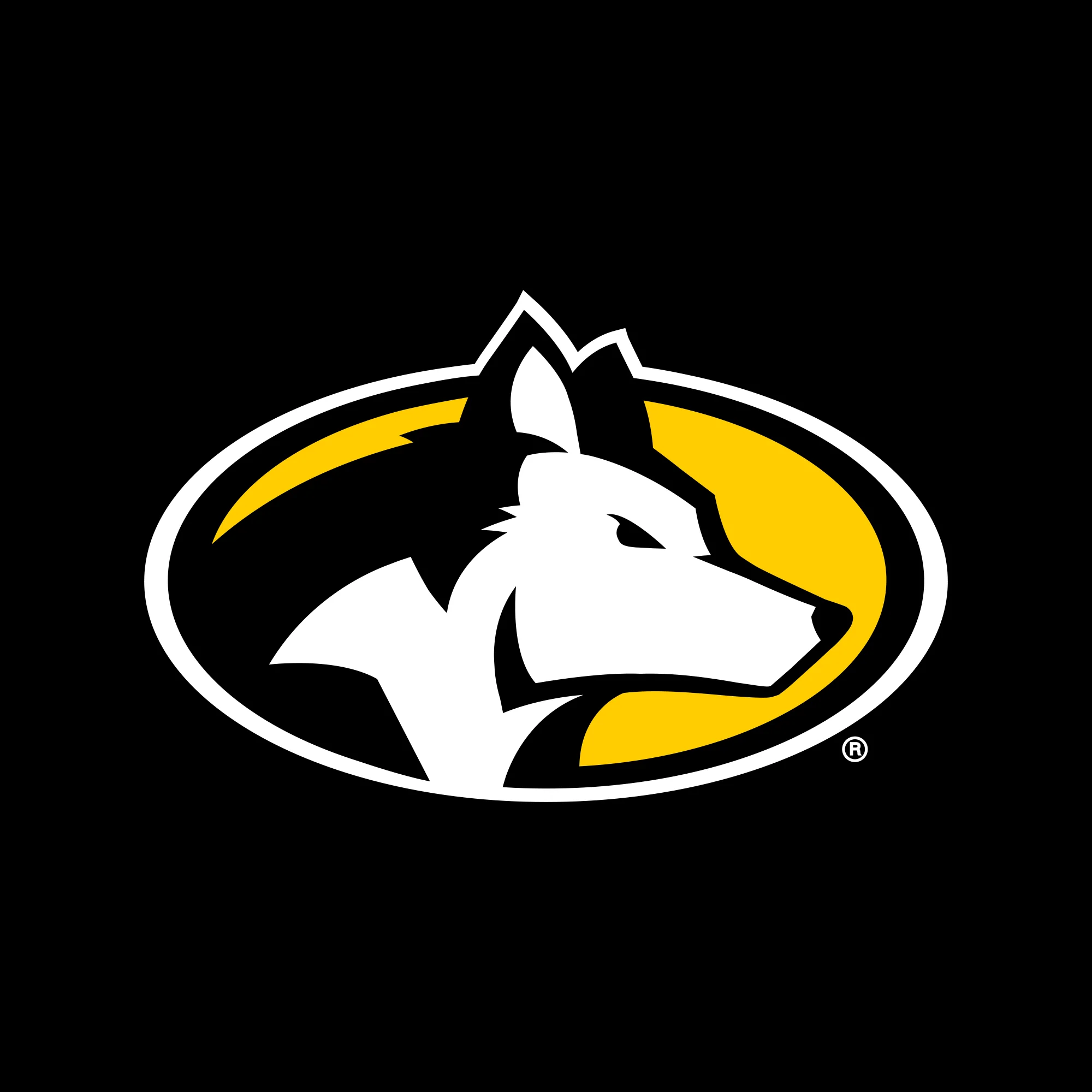 Michigan Tech Front Back Print Hoodie - Black - Image 4