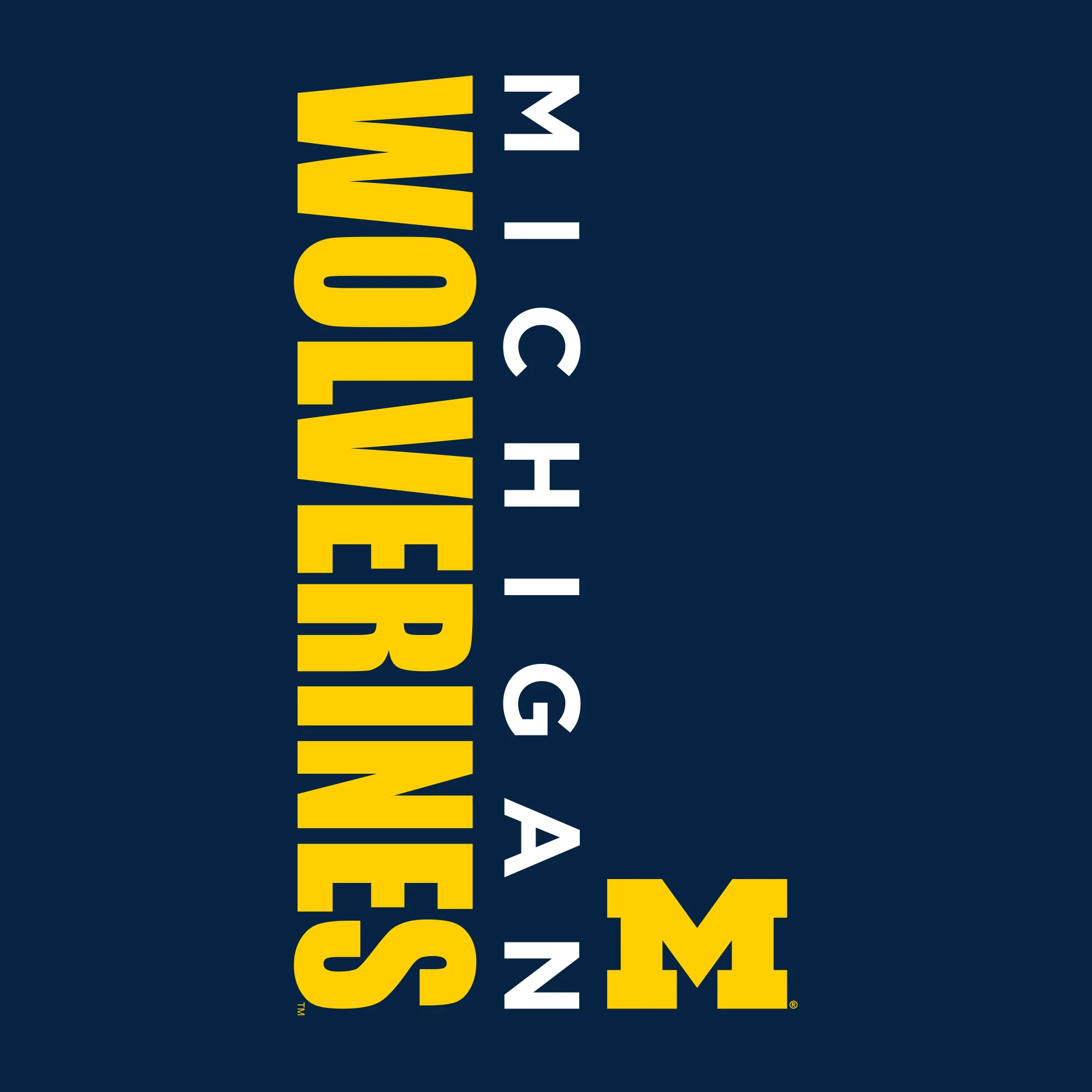 Vertical Block Left Chest University of Michigan Heavy Blend Zip Hoodie - Navy - Image 2