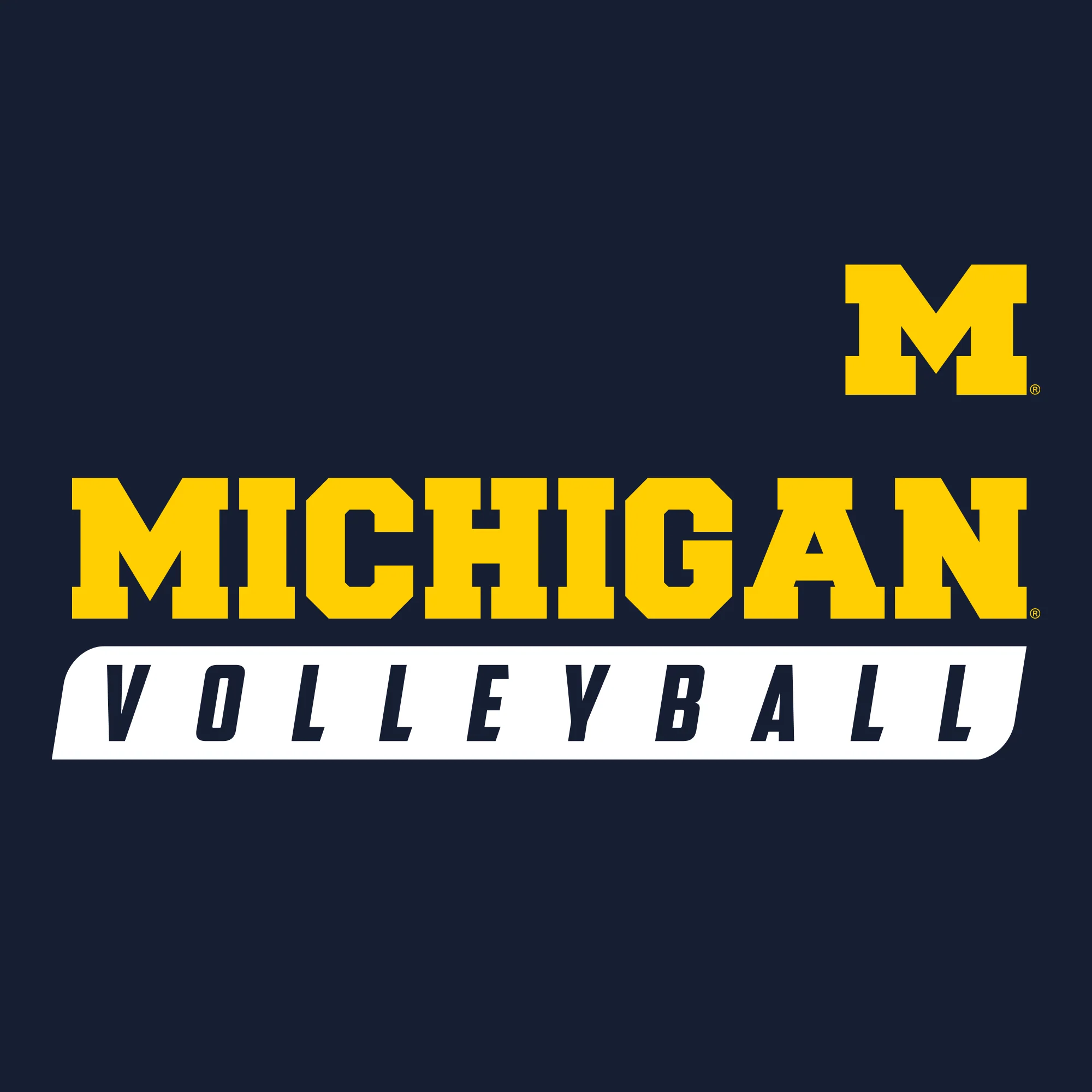 Michigan Volleyball Slant T-Shirt - Navy - Image 2