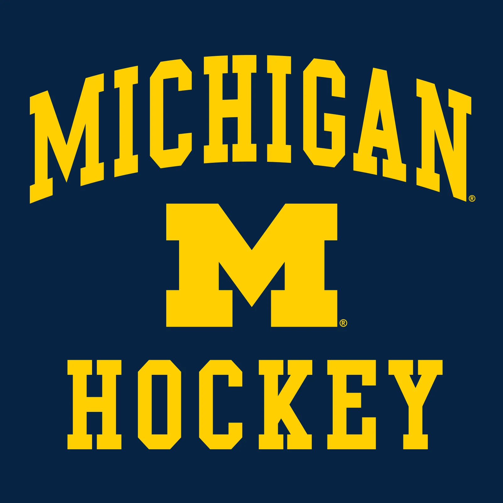 Michigan Wolverines Arch Logo Hockey Hoodie - Navy - Image 2