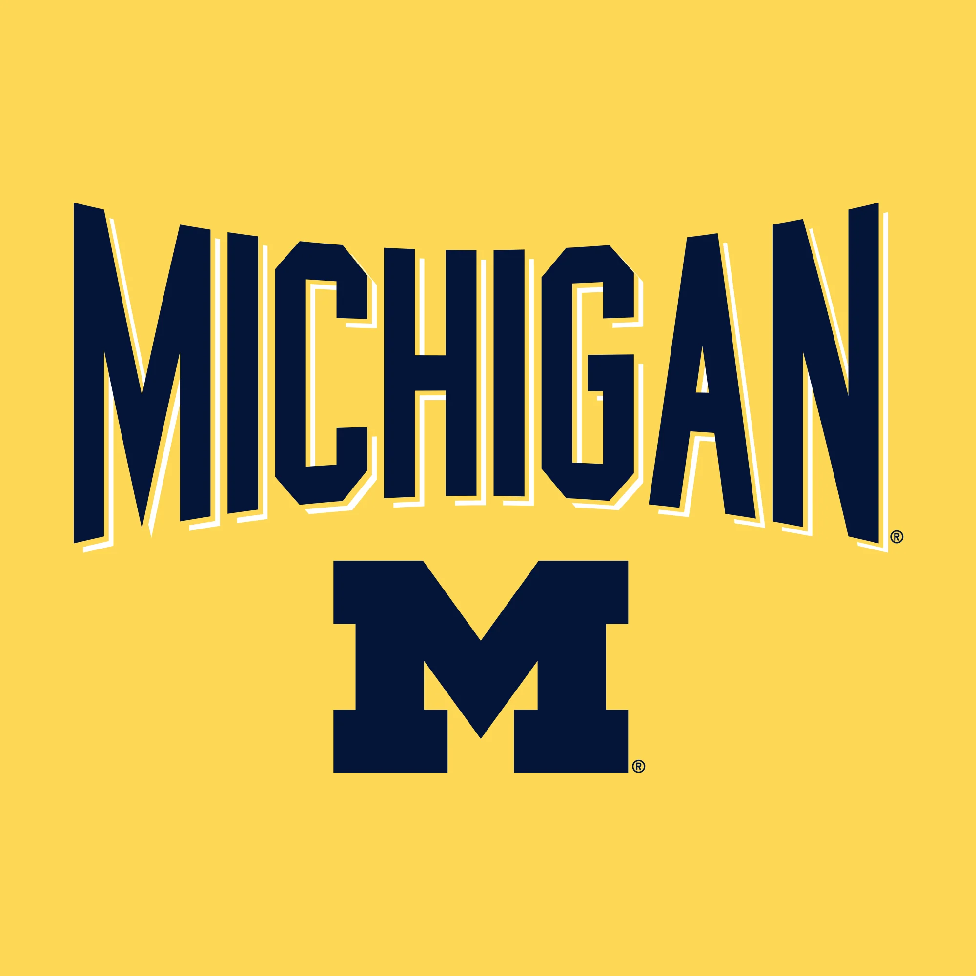 Michigan Wolverines Statement Block Youth T-Shirt - Daisy - Image 2