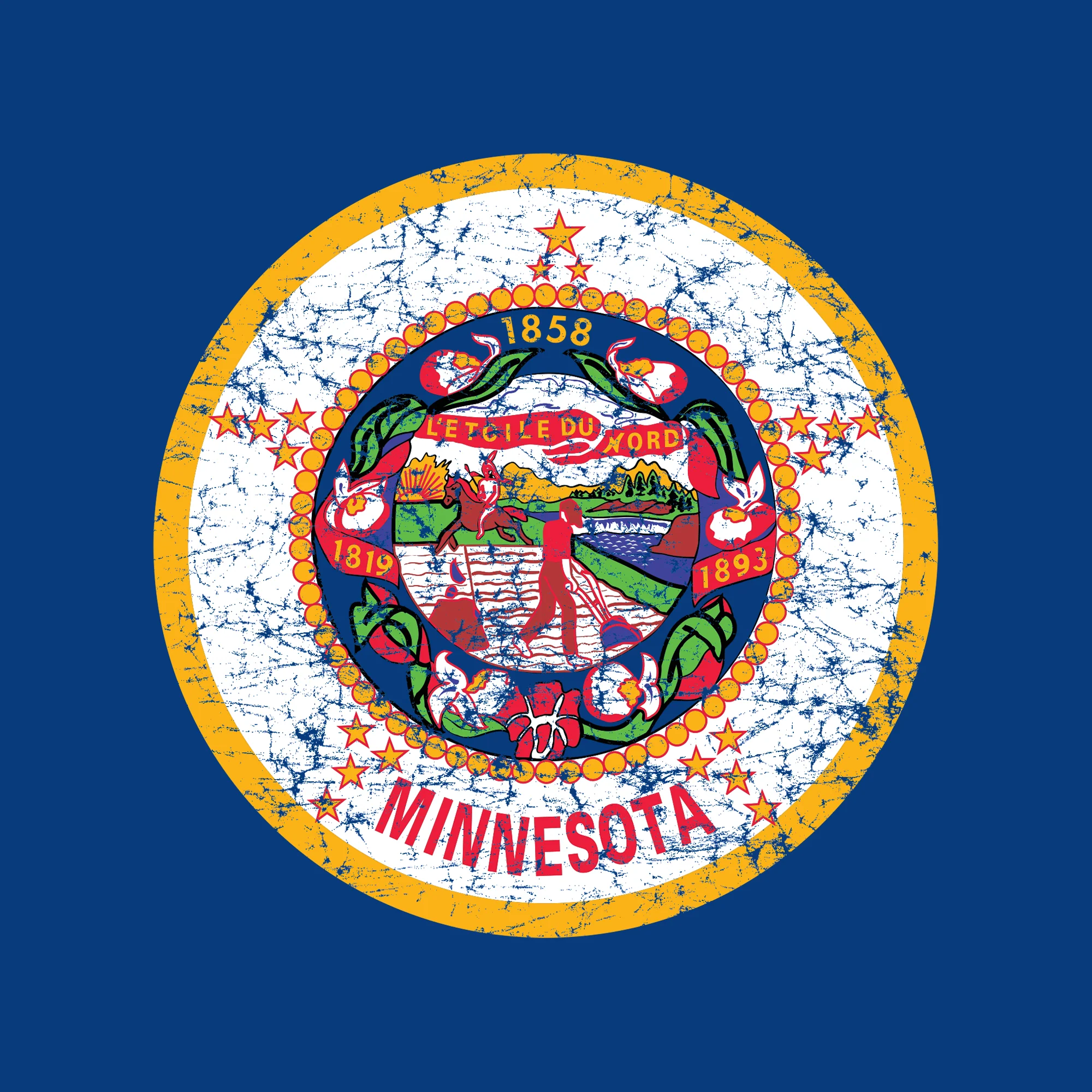 Minnesota State Flag NLA T-Shirt - Royal - Image 2