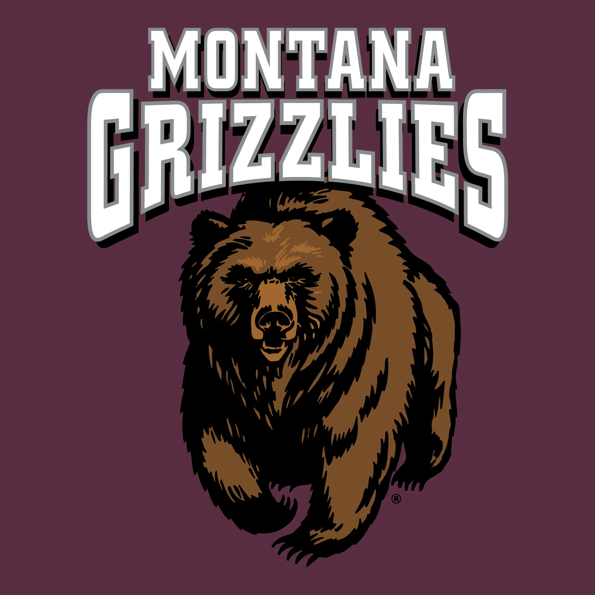 Montana Grizzlies Arch Logo T-Shirt - Image 5