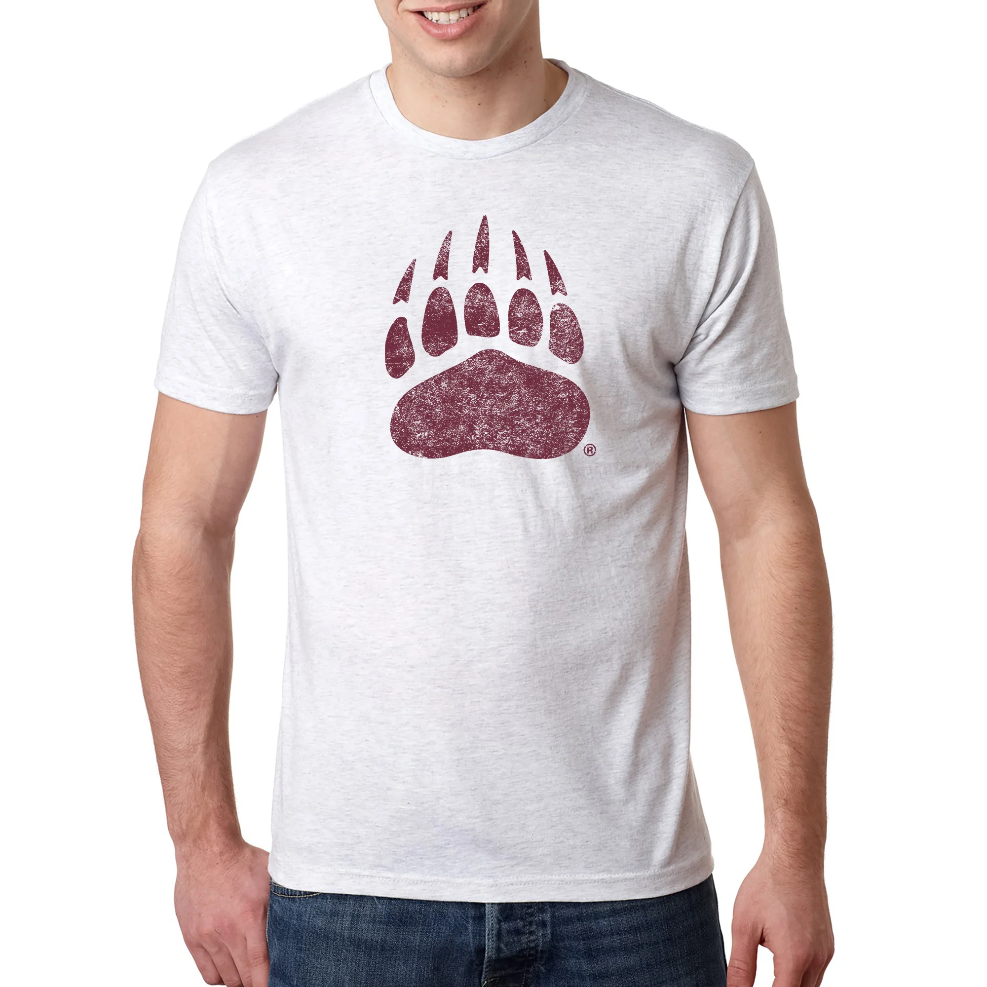 Montana Grizzlies Primary Logo Distressed Triblend T-Shirt - Image 4