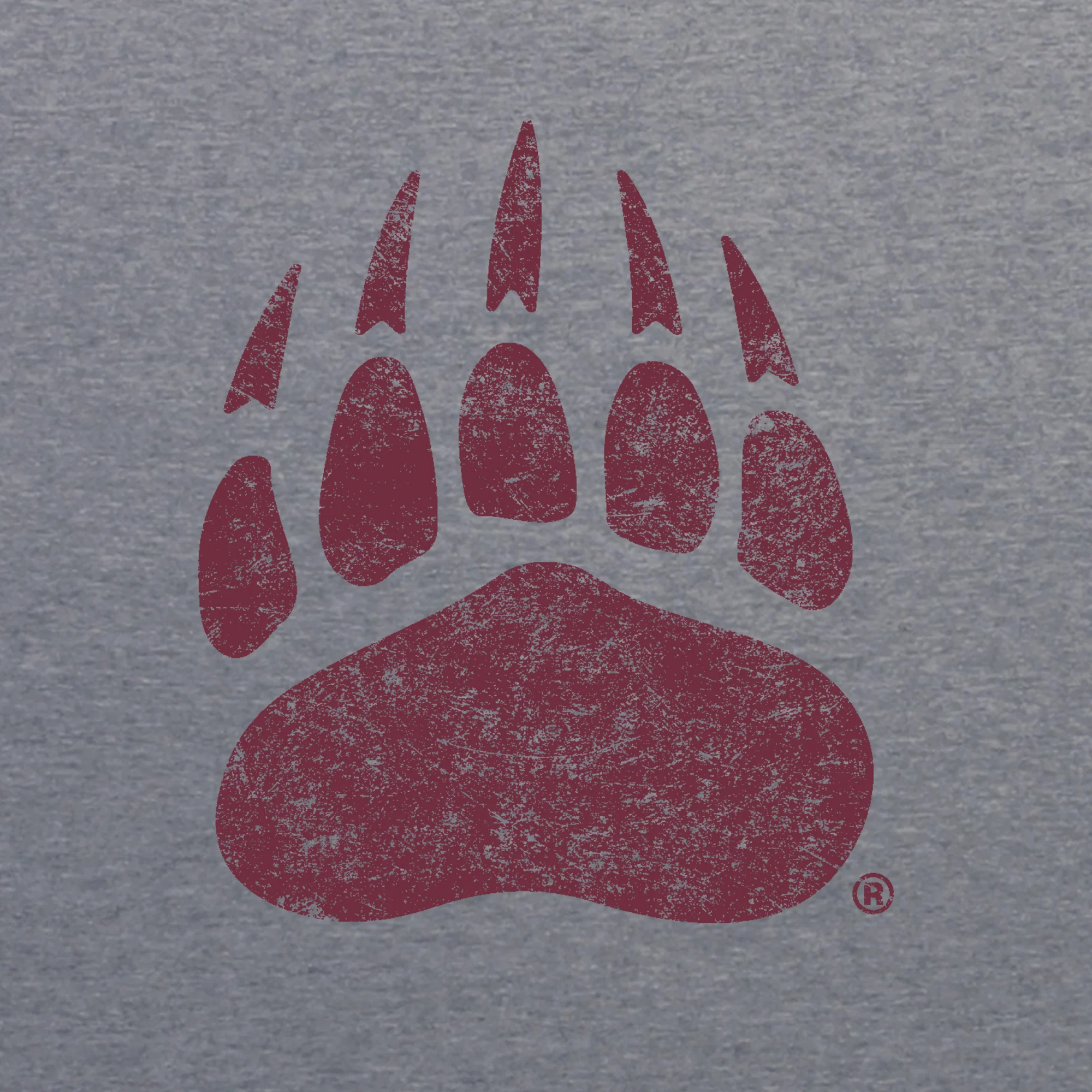 Montana Grizzlies Primary Logo Distressed Triblend T-Shirt - Image 6