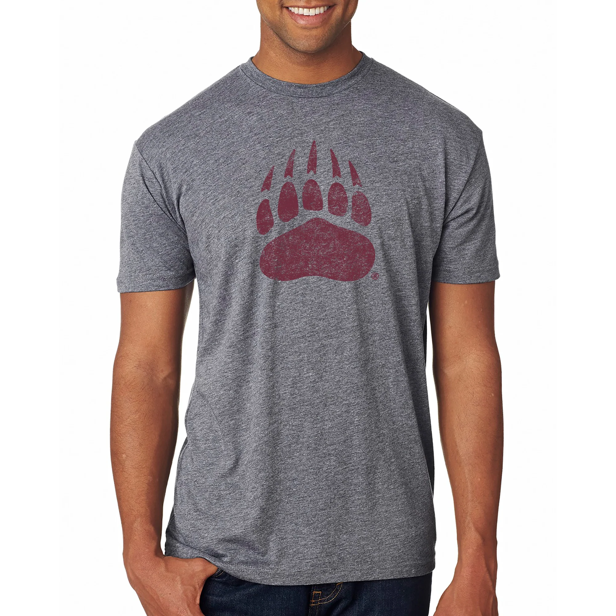 Montana Grizzlies Primary Logo Distressed Triblend T-Shirt - Image 7
