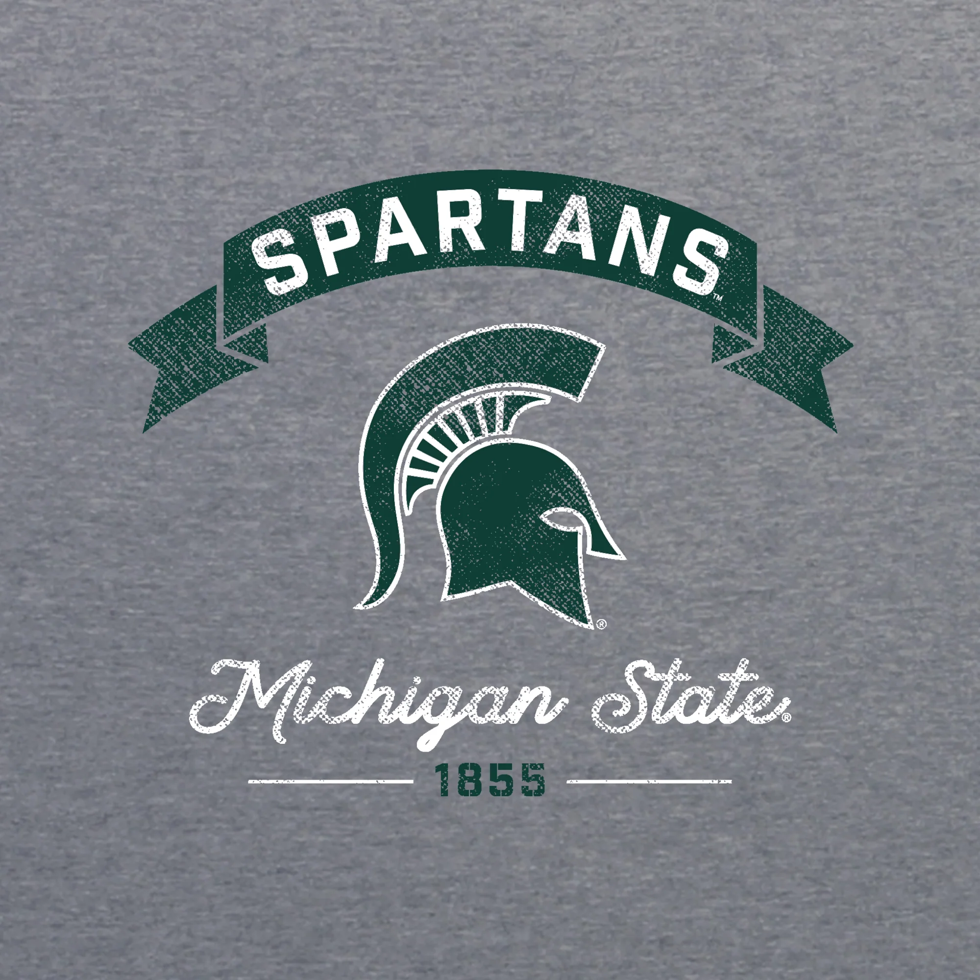 MSU Ribbon Arc NLA Triblend T-Shirt - Premium Heather - Image 2