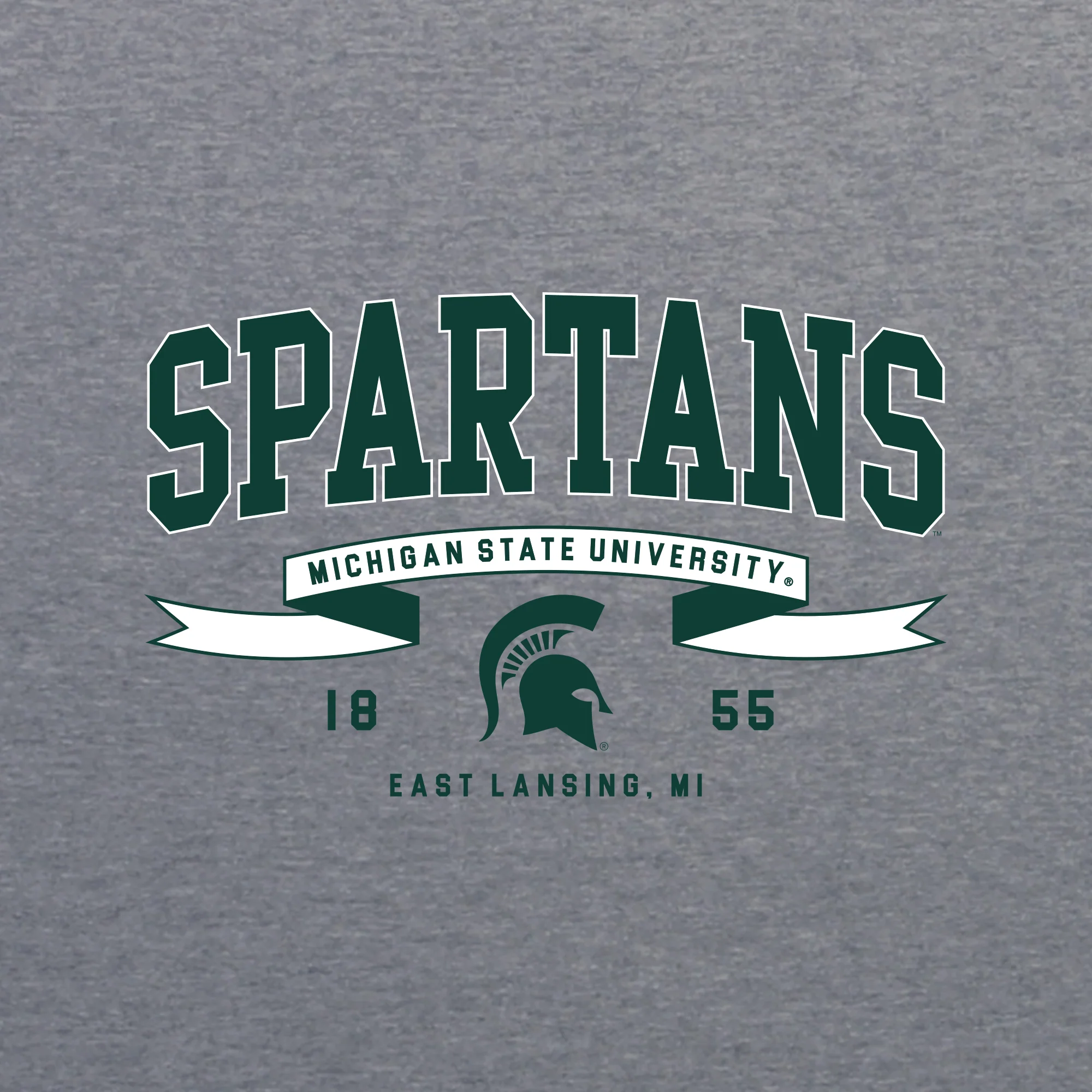 MSU Ribbon Flight NLA Triblend T-Shirt - Premium Heather - Image 2
